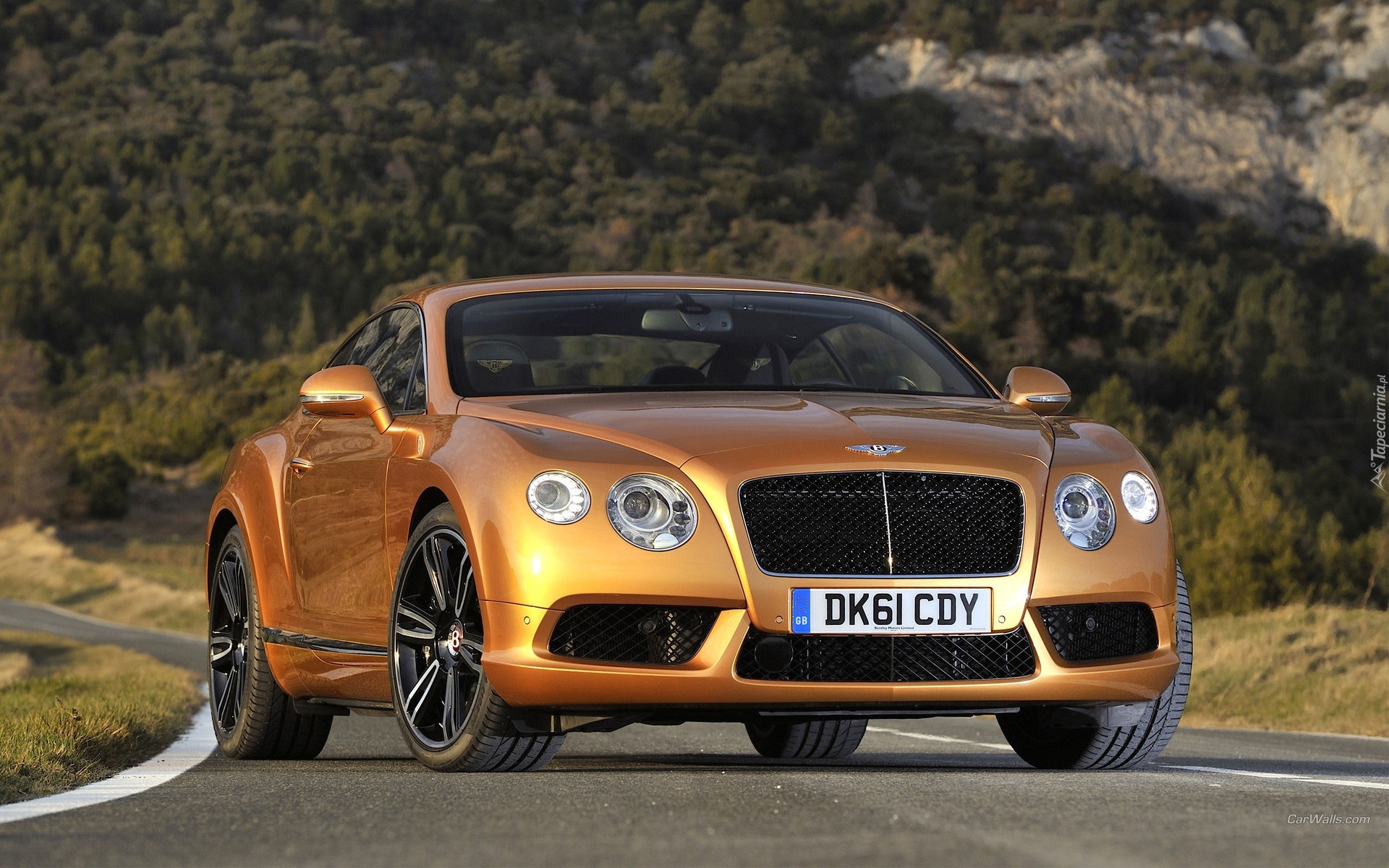 Bentley,  Continental GT-V8, Droga