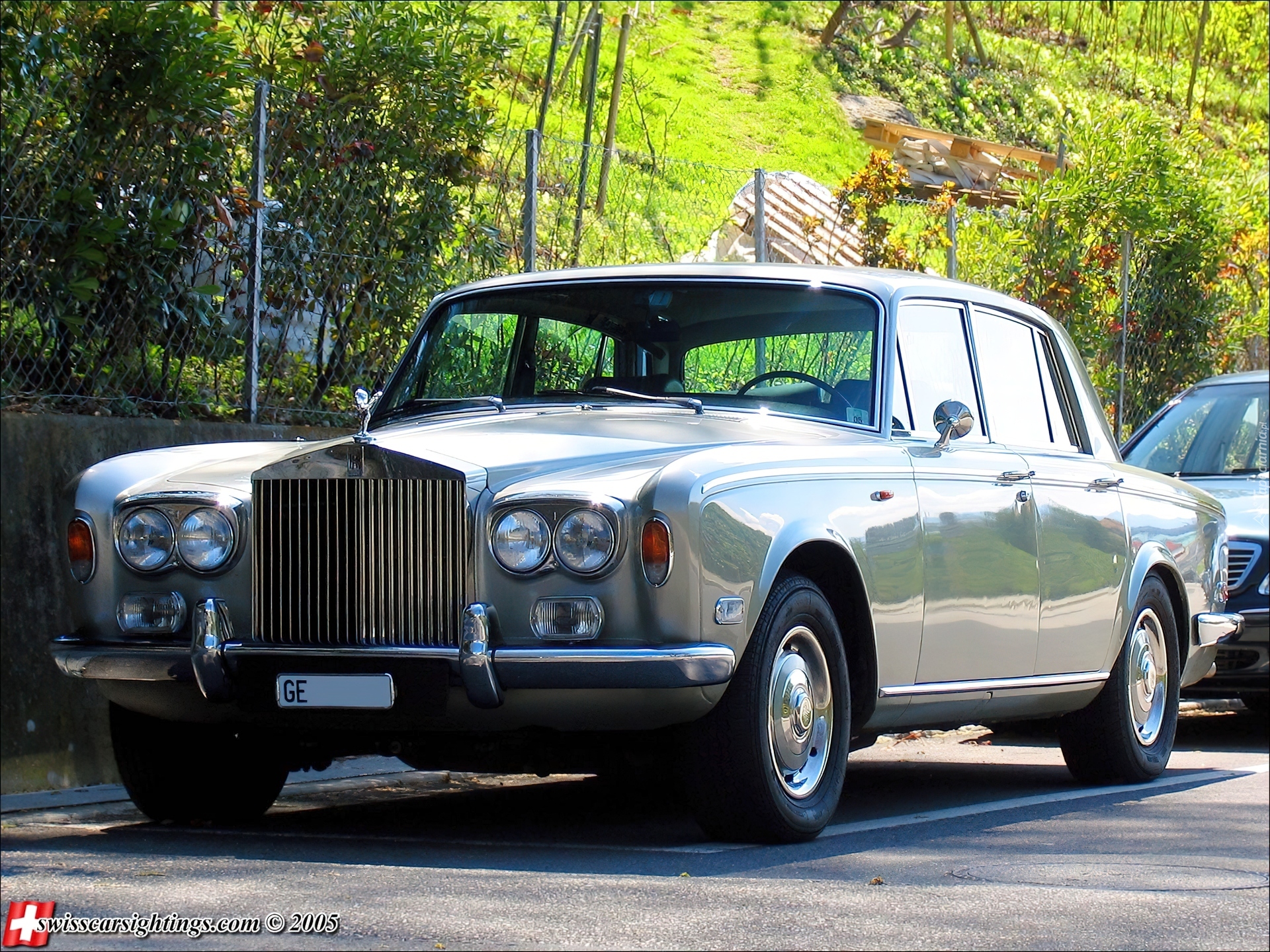 Rolls-Royce,drzewa