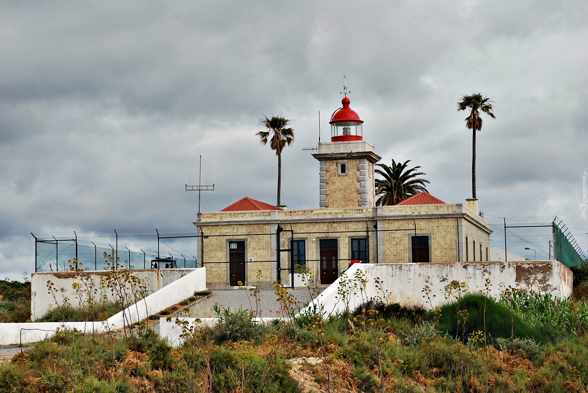 Ponta, Da Piedade, Latarnia, Morska, Roślinność