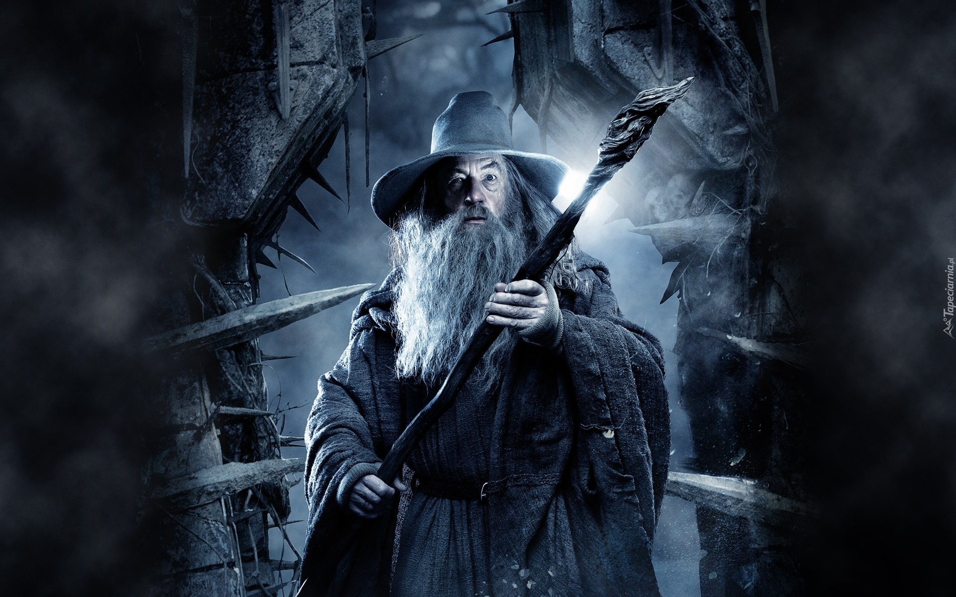 Hobbit, Pustkowie Smauga, Gandalf, Ian McKellen