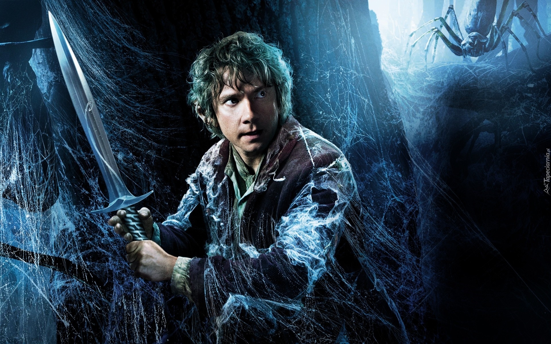 Hobbit: Pustkowie Smauga,  The Hobbit: The Desolation of Smaug, Martin Freeman, Bilbo Baggins, Miecz, Pajęczyna