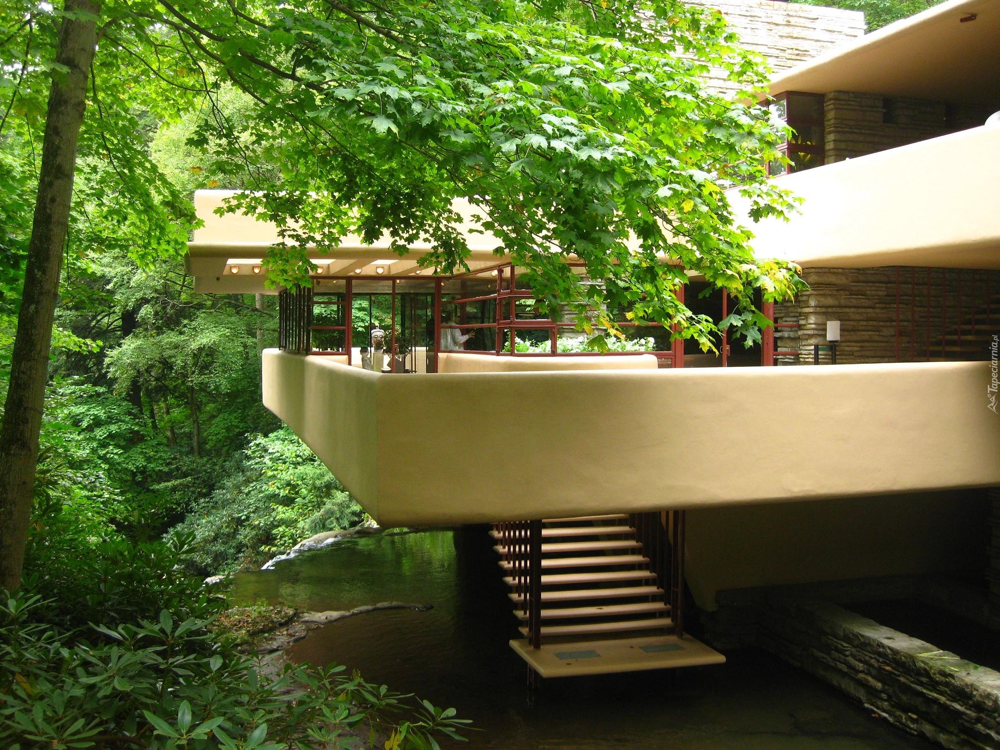 Dom, Fallingwater, Frank LLoyd Wright