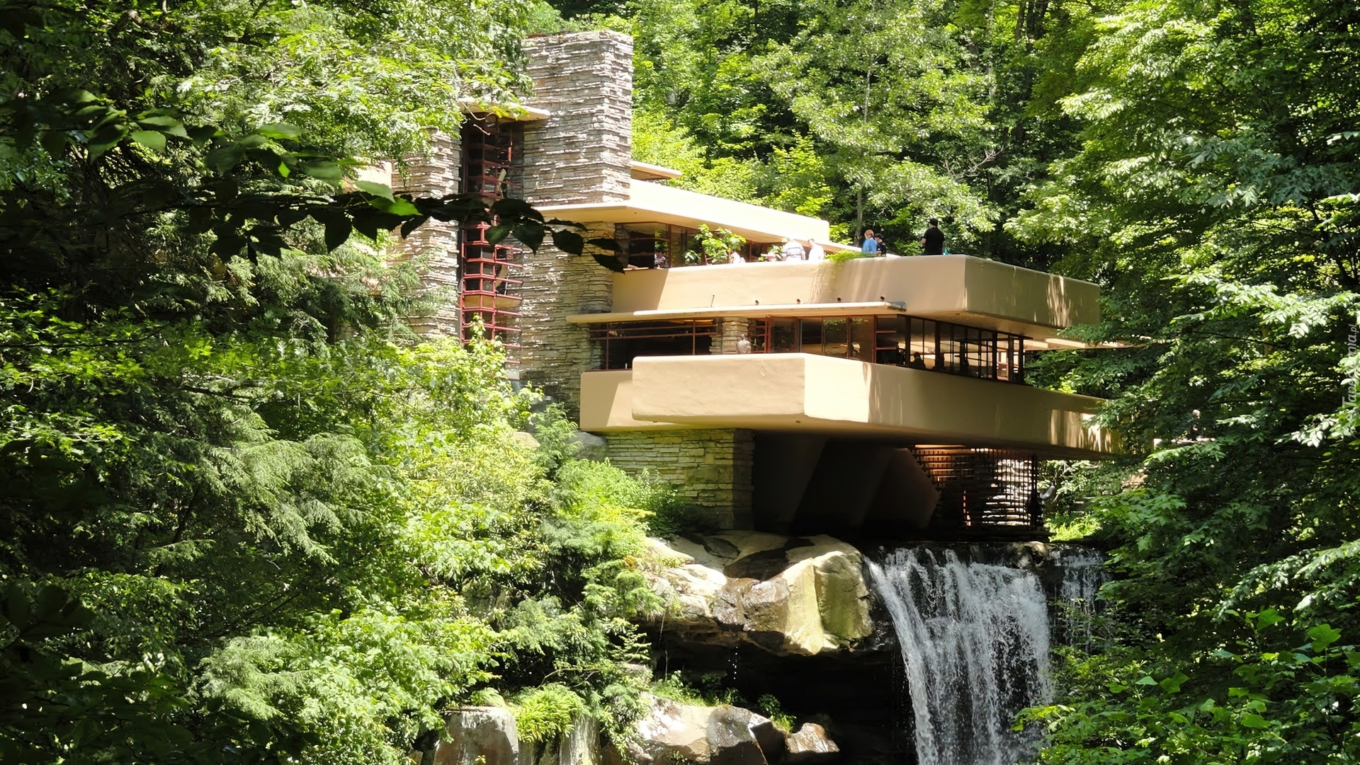 Dom, Fallingwater, Frank Lloyd Wright