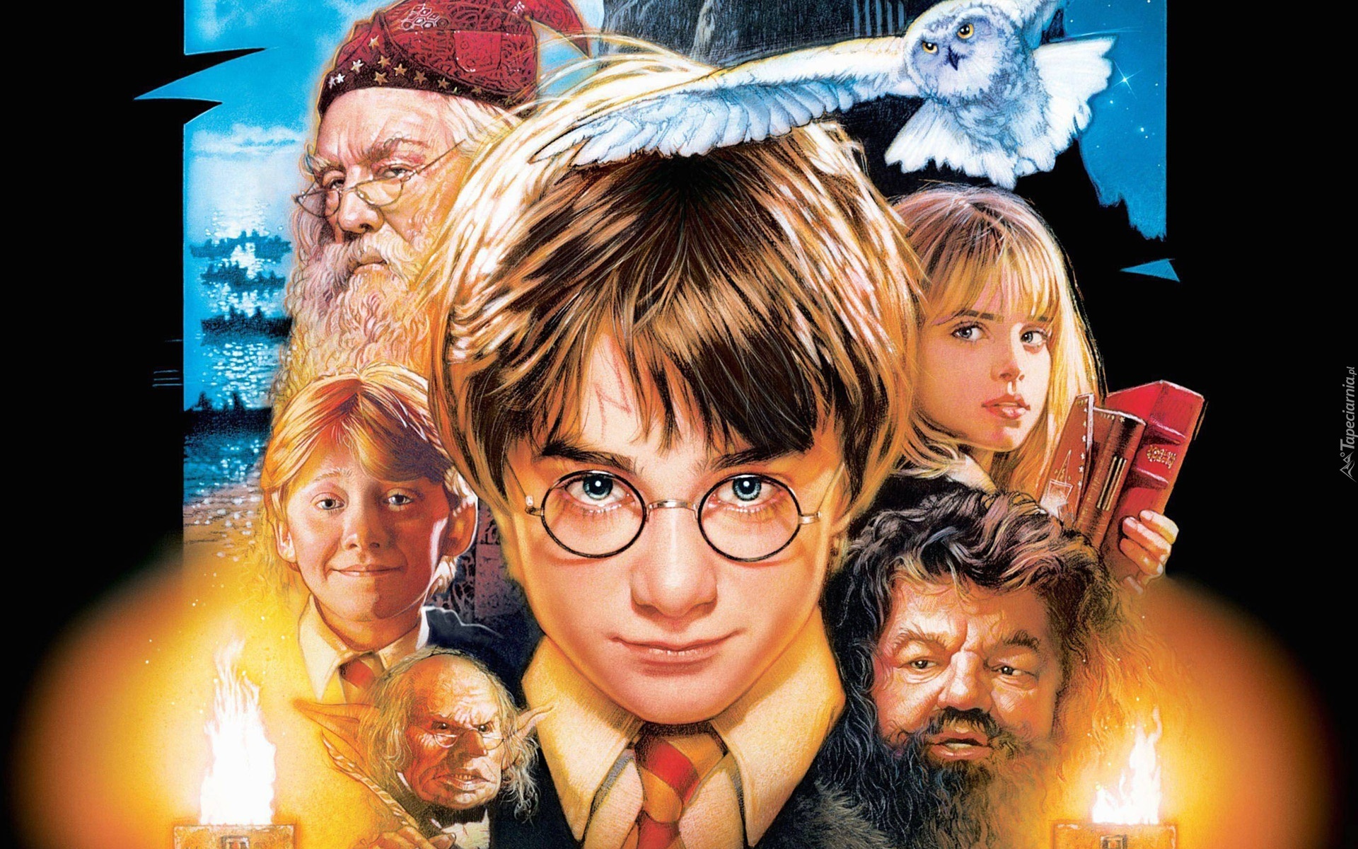 Harry, Potter, Bohaterowie