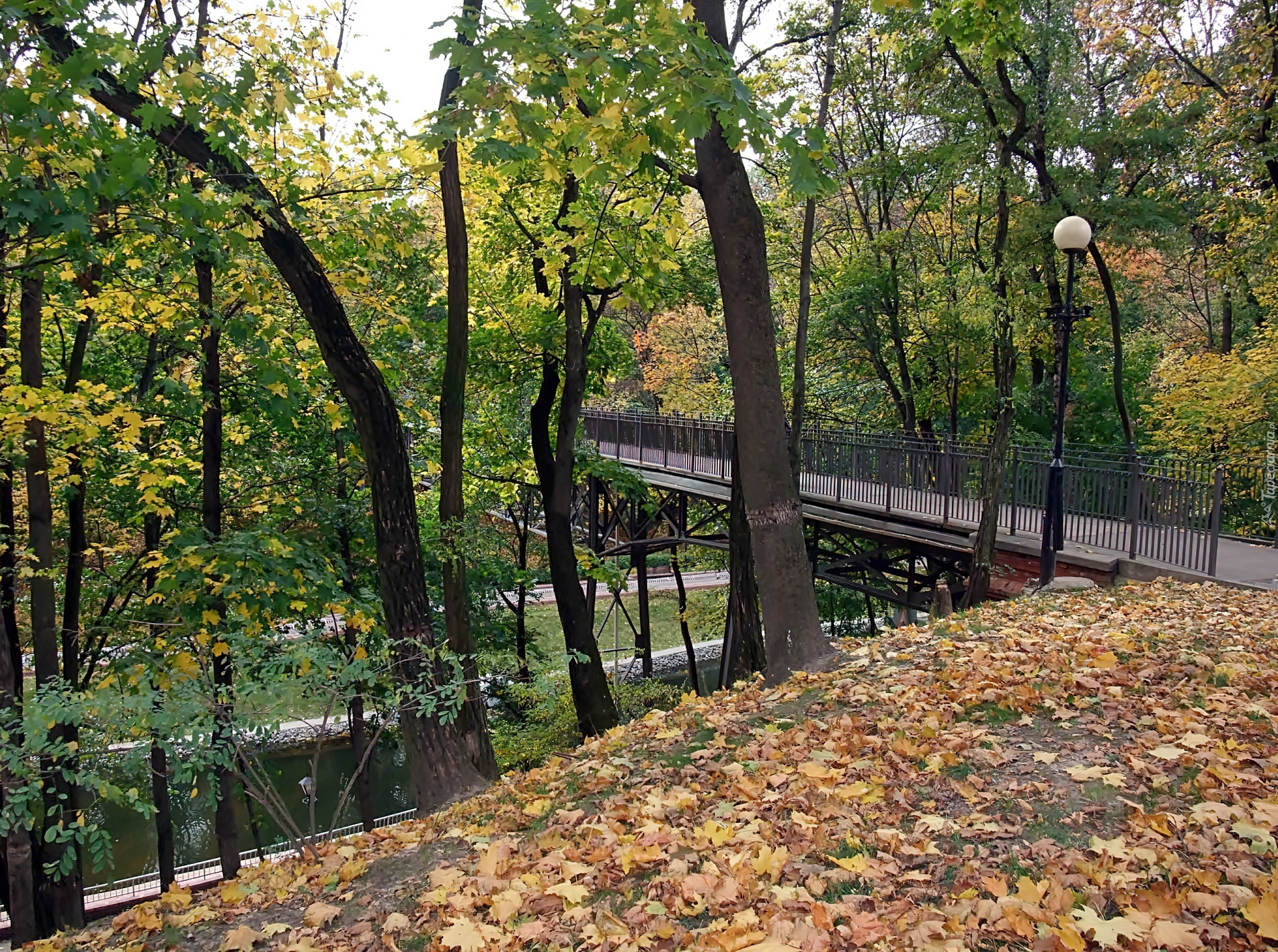 Park, Rzeczka, Most, Opadłe, Liście