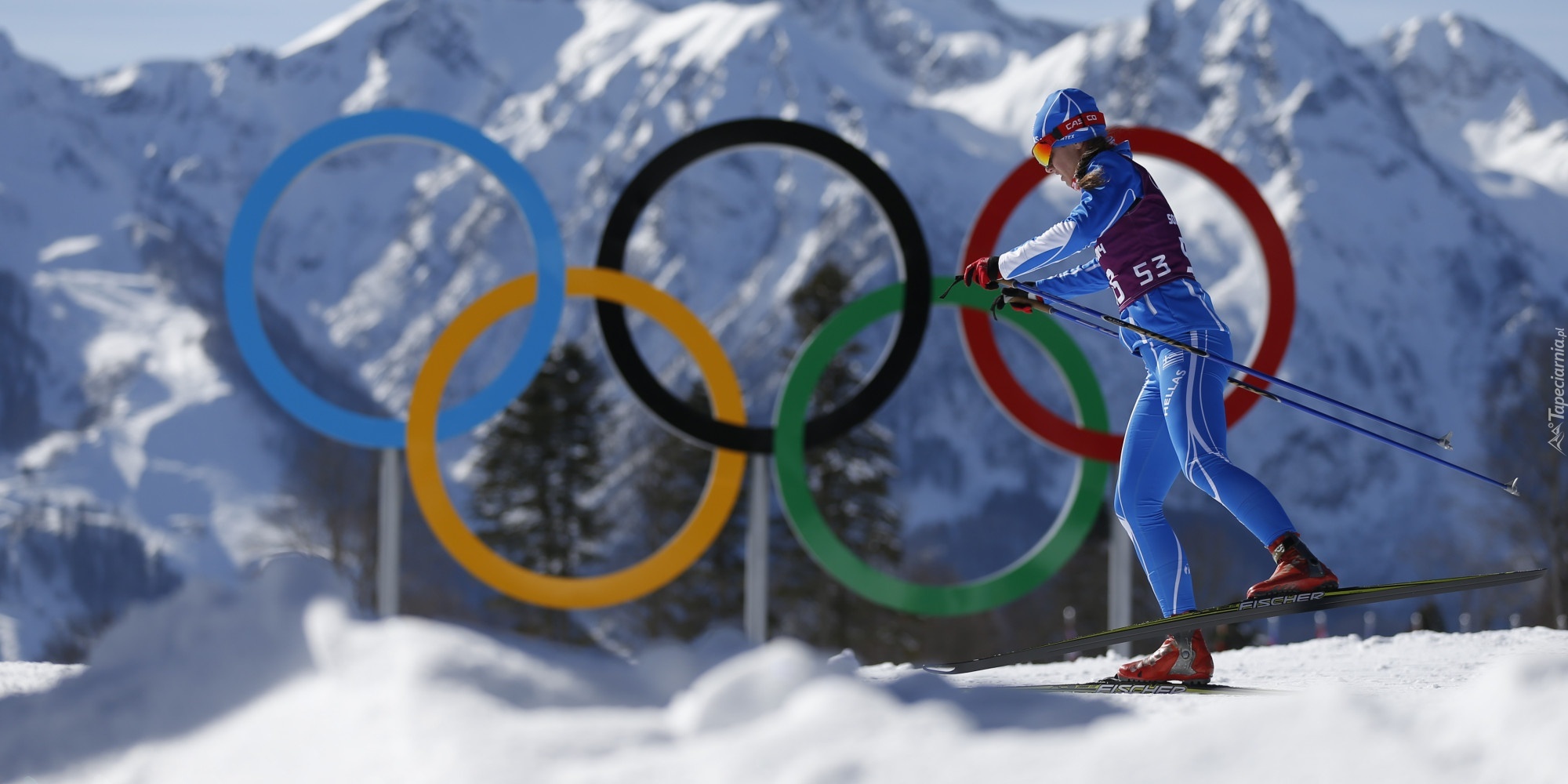 Biegi Narciarskie, Olimpiada, Sochi