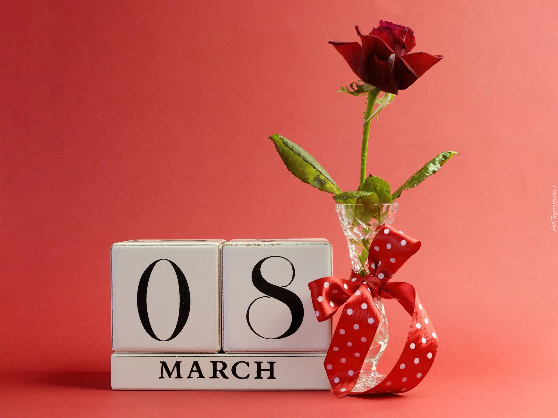 8 Marca, Dzień, Kobiet, Róża