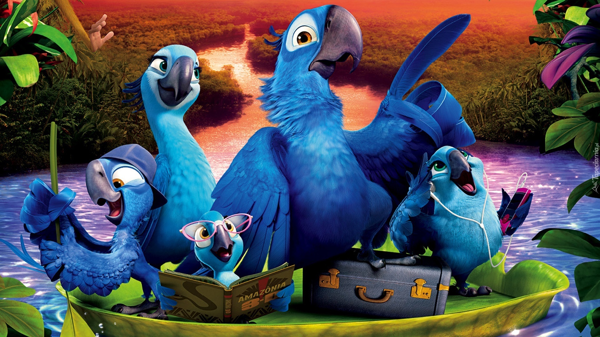 Rio 2, Ptaki