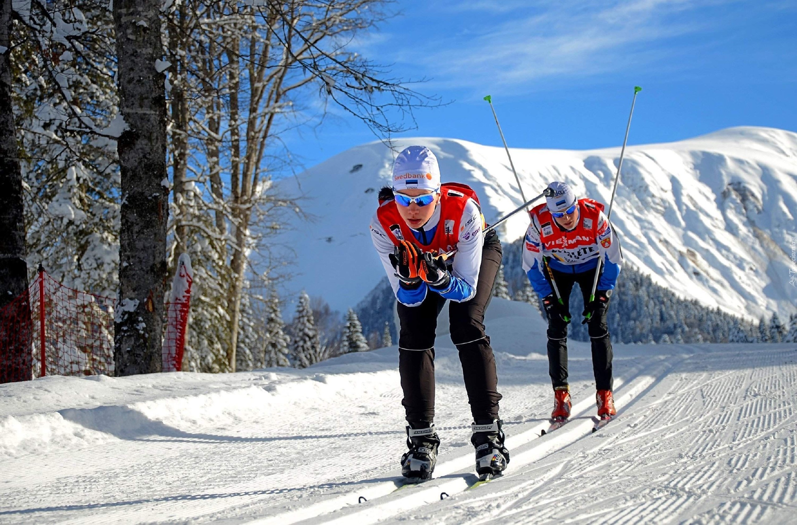 Sochi 2014, Zawodnicy, Narty