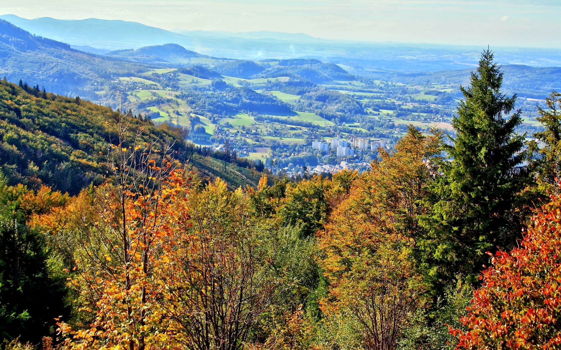 Beskid, Śląski, W Dolinie, Panorama, Ustronia, Góry, Las