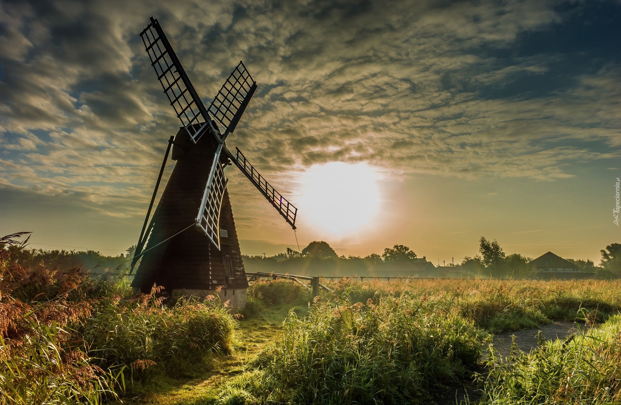 природа мельница солнце трава небо облака nature mill the sun grass sky clouds бесплатно