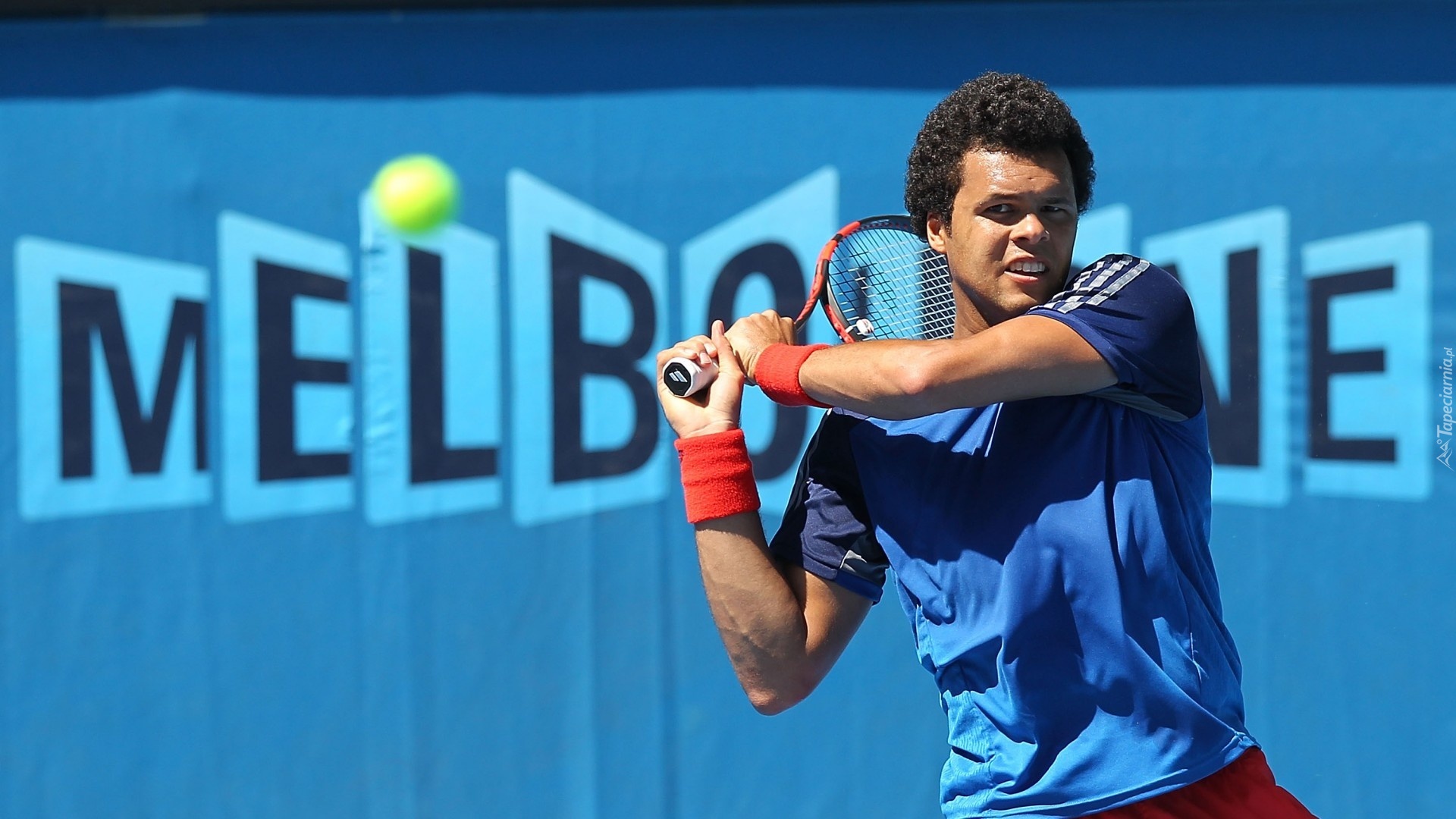 Tenisista, Jo Wilfried Tsonga, Francuz