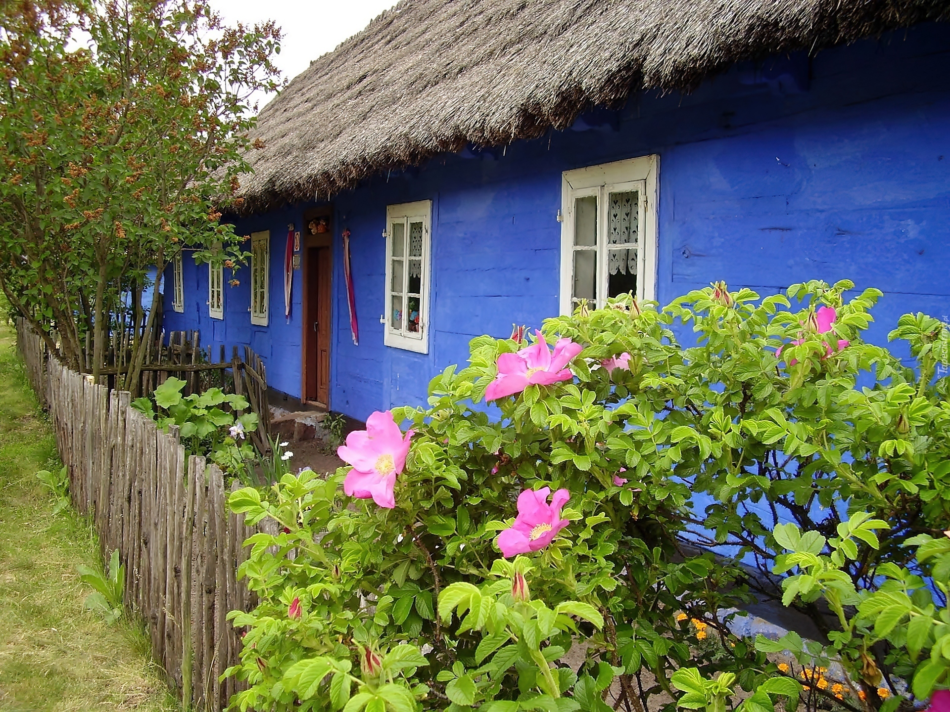 Skansen, Łowicki, Wiejska, Chata, Ogródek