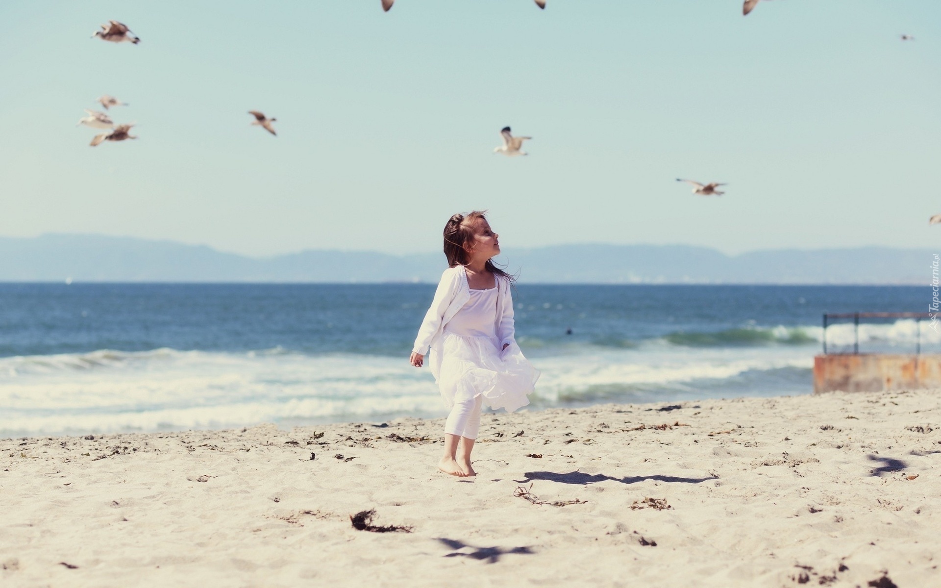 Dziewczynka, Plaża, Morze, Ptaki