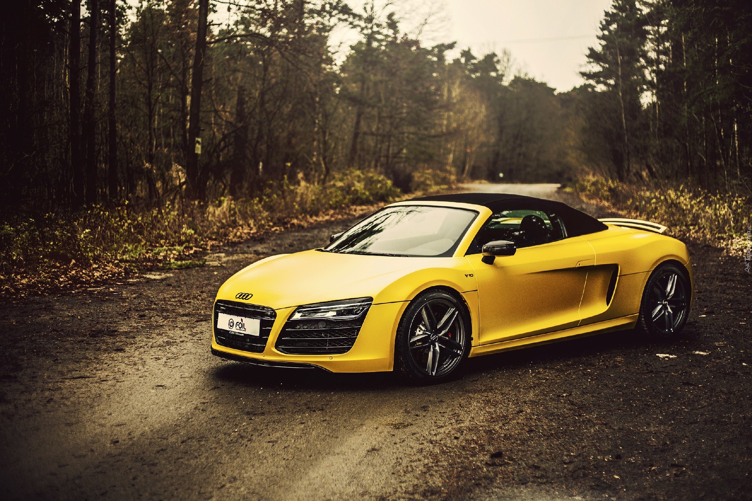 Audi R8, Las, Droga