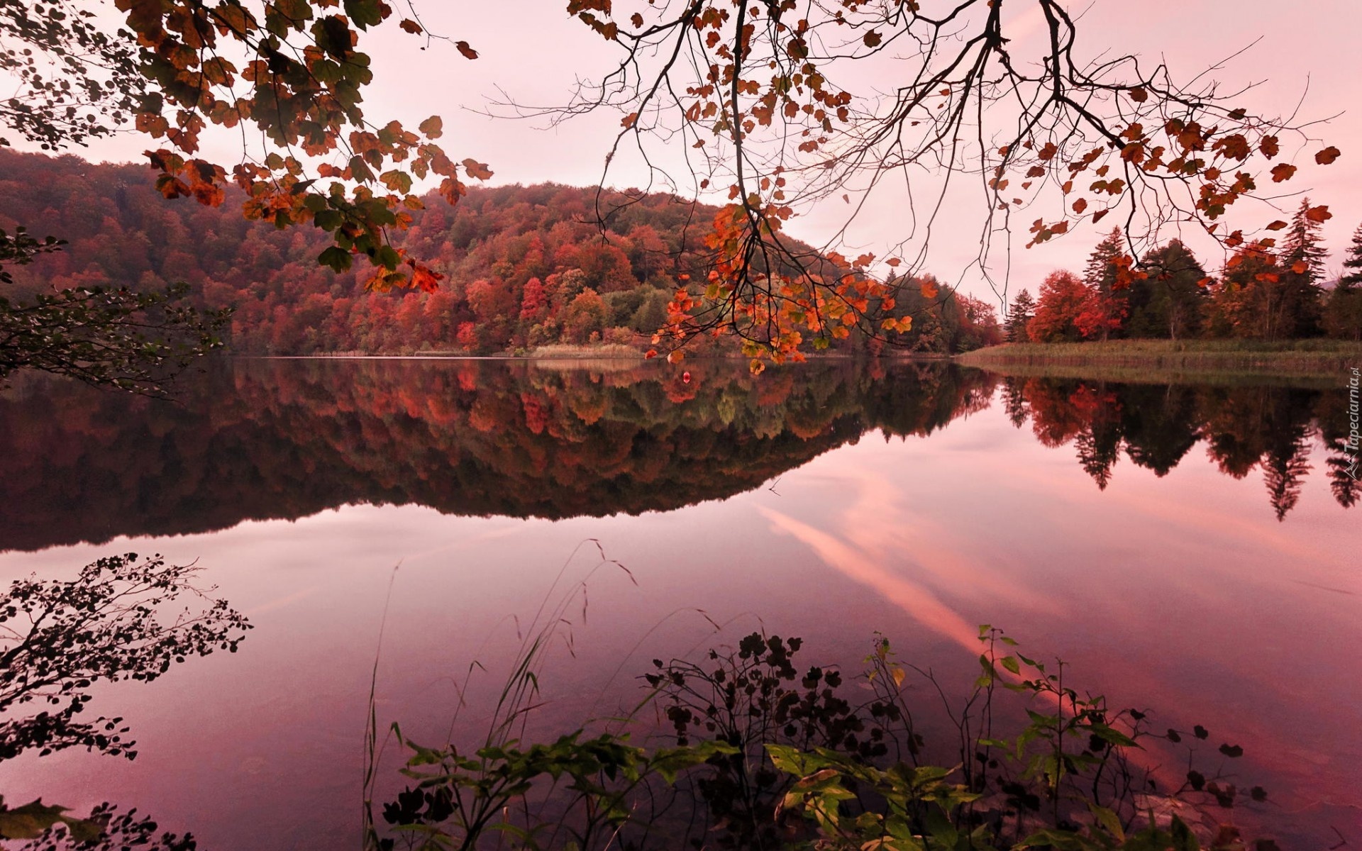 Jezioro, Lasy, Jesień