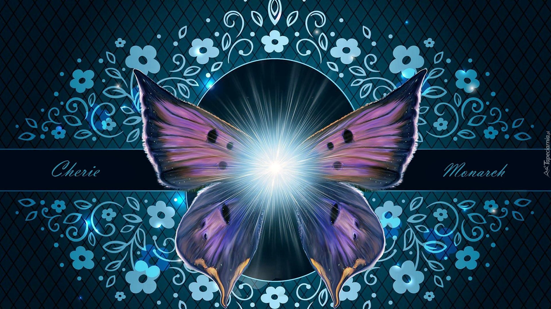 Motyl, Grafika