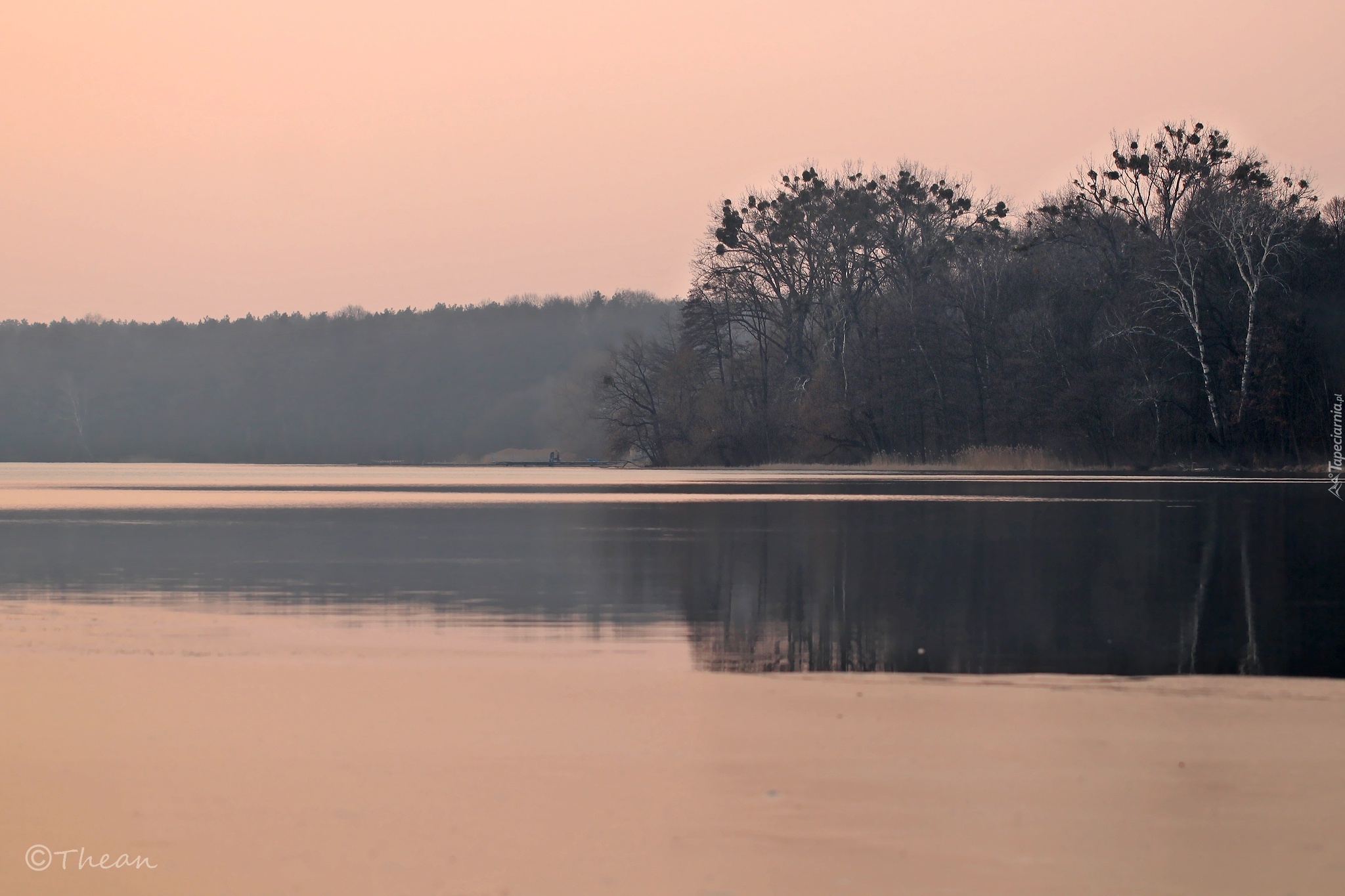 Topniejące, Jezioro, Drzewa, Zmierzch