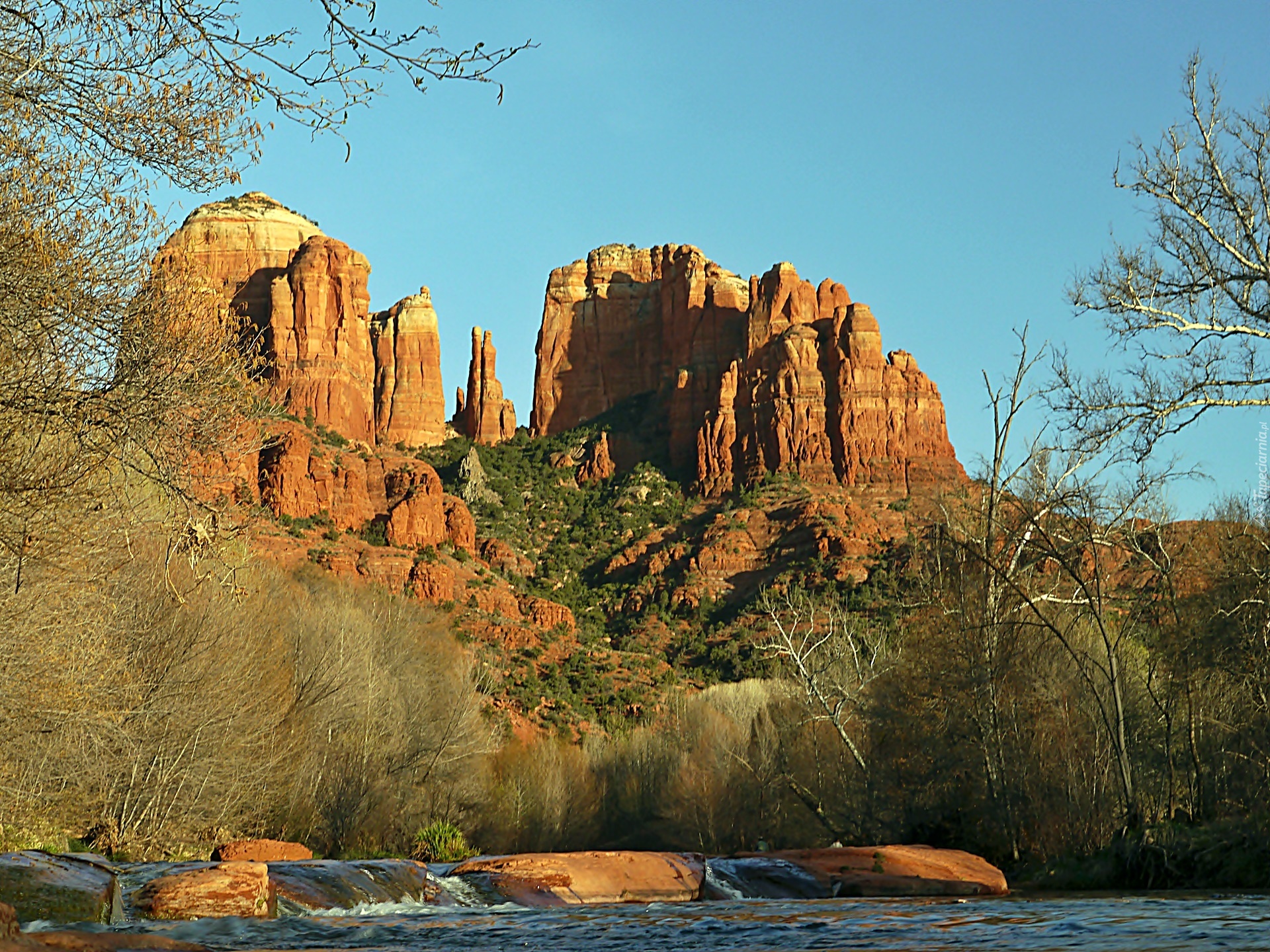 Skały, Drzewa, Zarośla, Rzeka, Sedona, Arizona