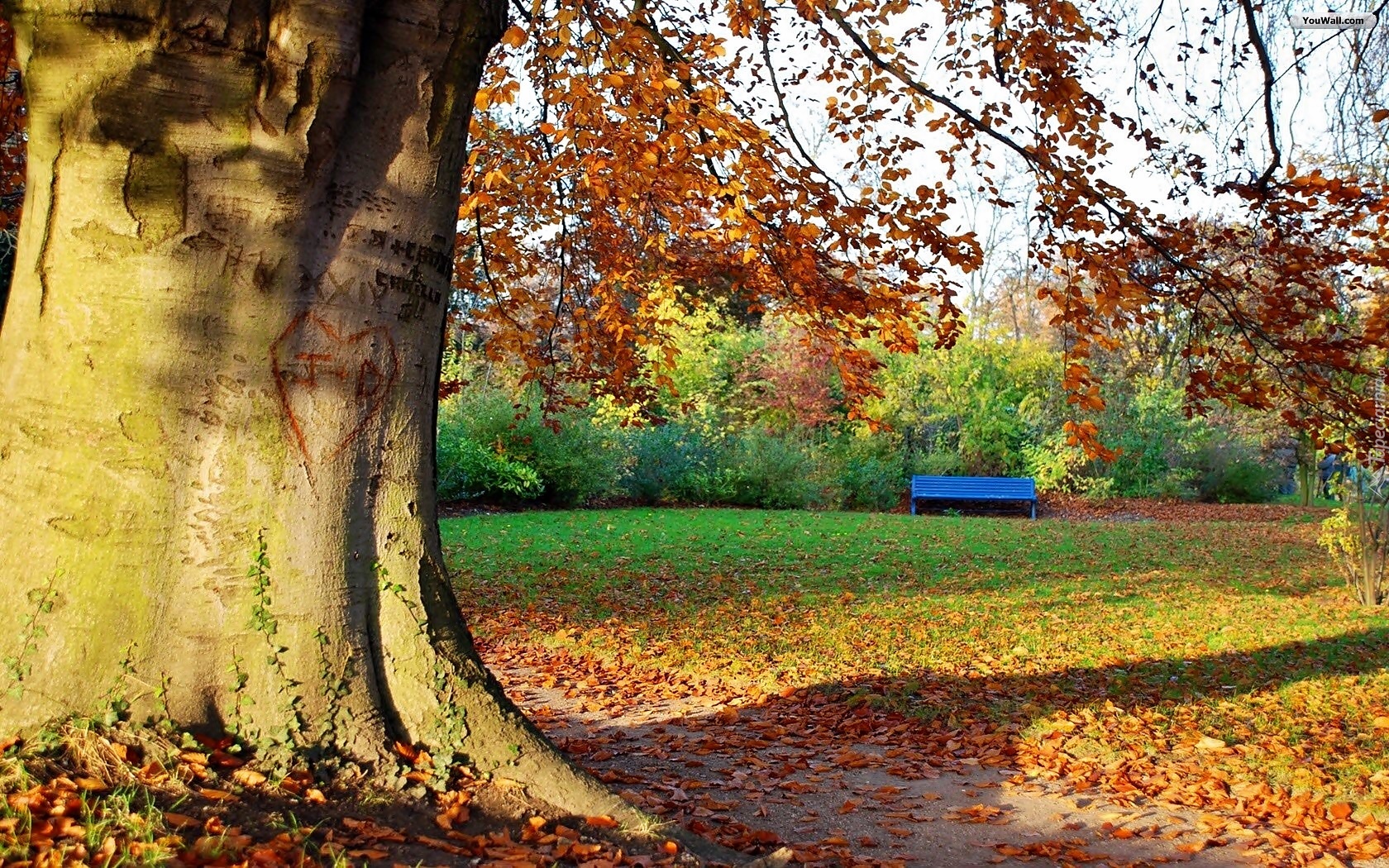 Jesień, Park, Opadłe, Liście, Ławeczka, Przebijające, Światło