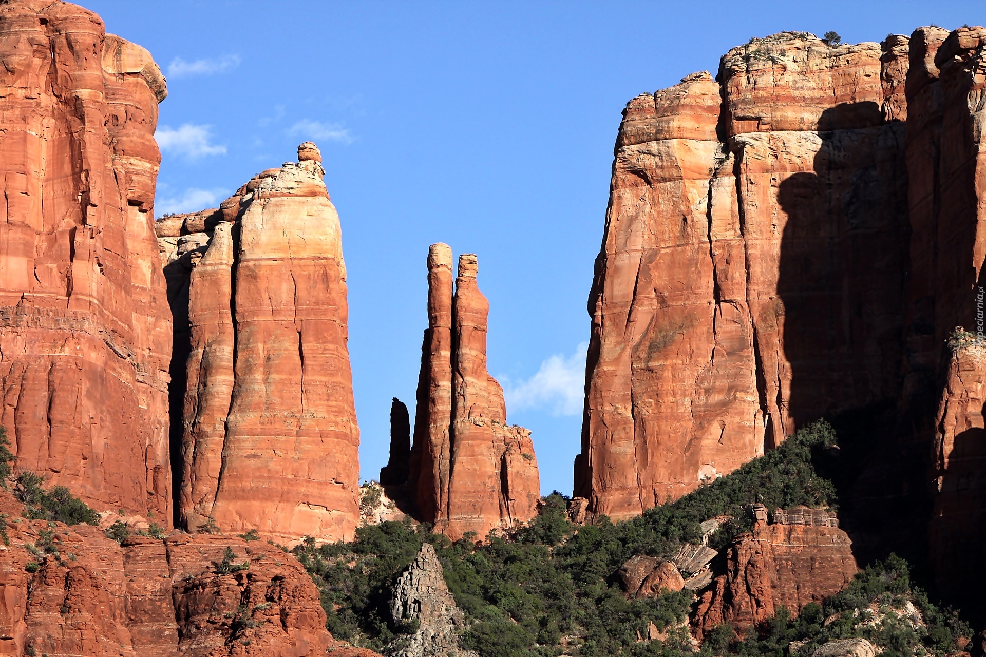 Skały, Kanion, Zarośla, Sedona, Arizona