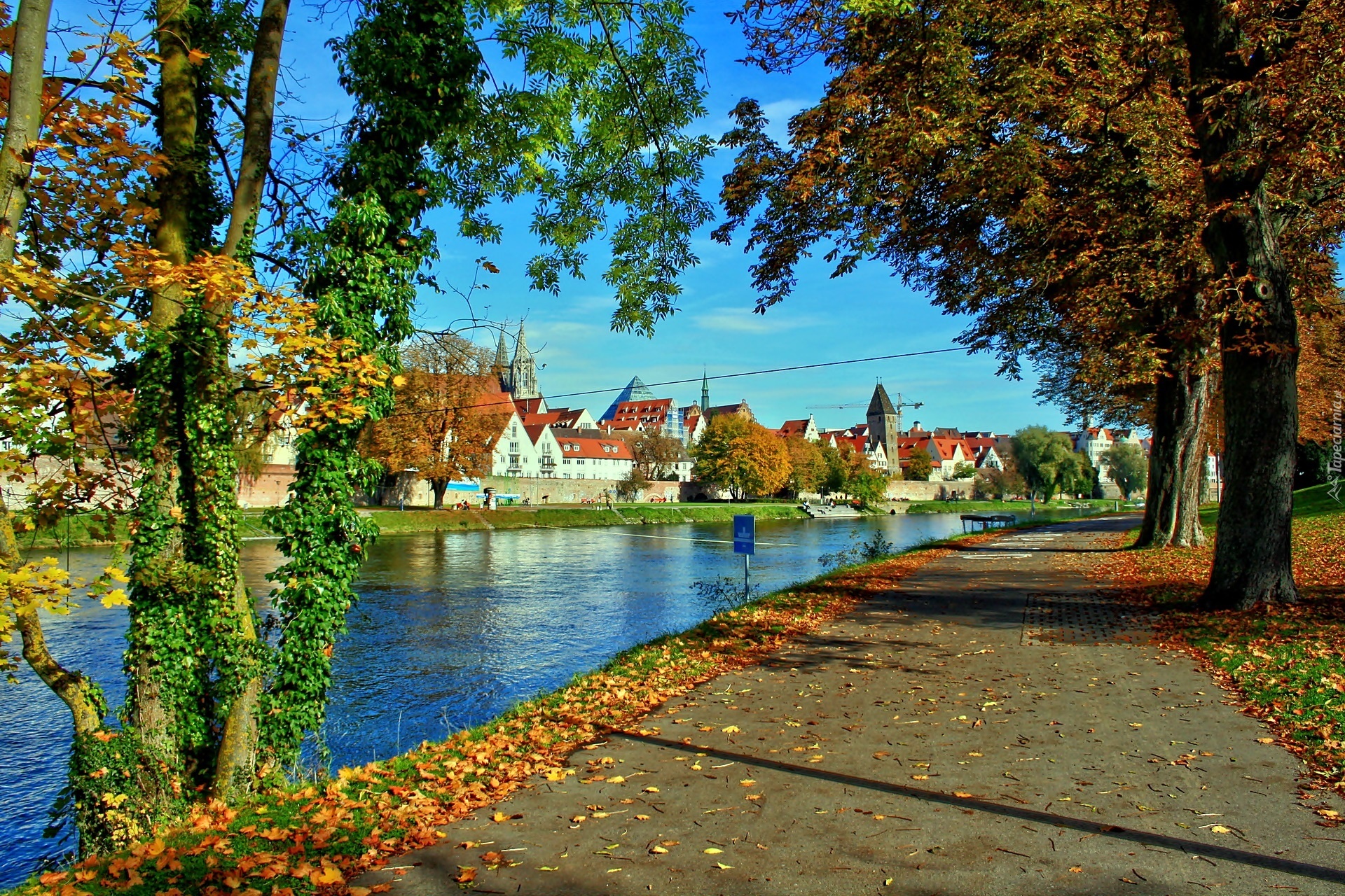 Jesień, Rzeka, Drzewa, Opadłe, Liście, Panorama, Miasteczka