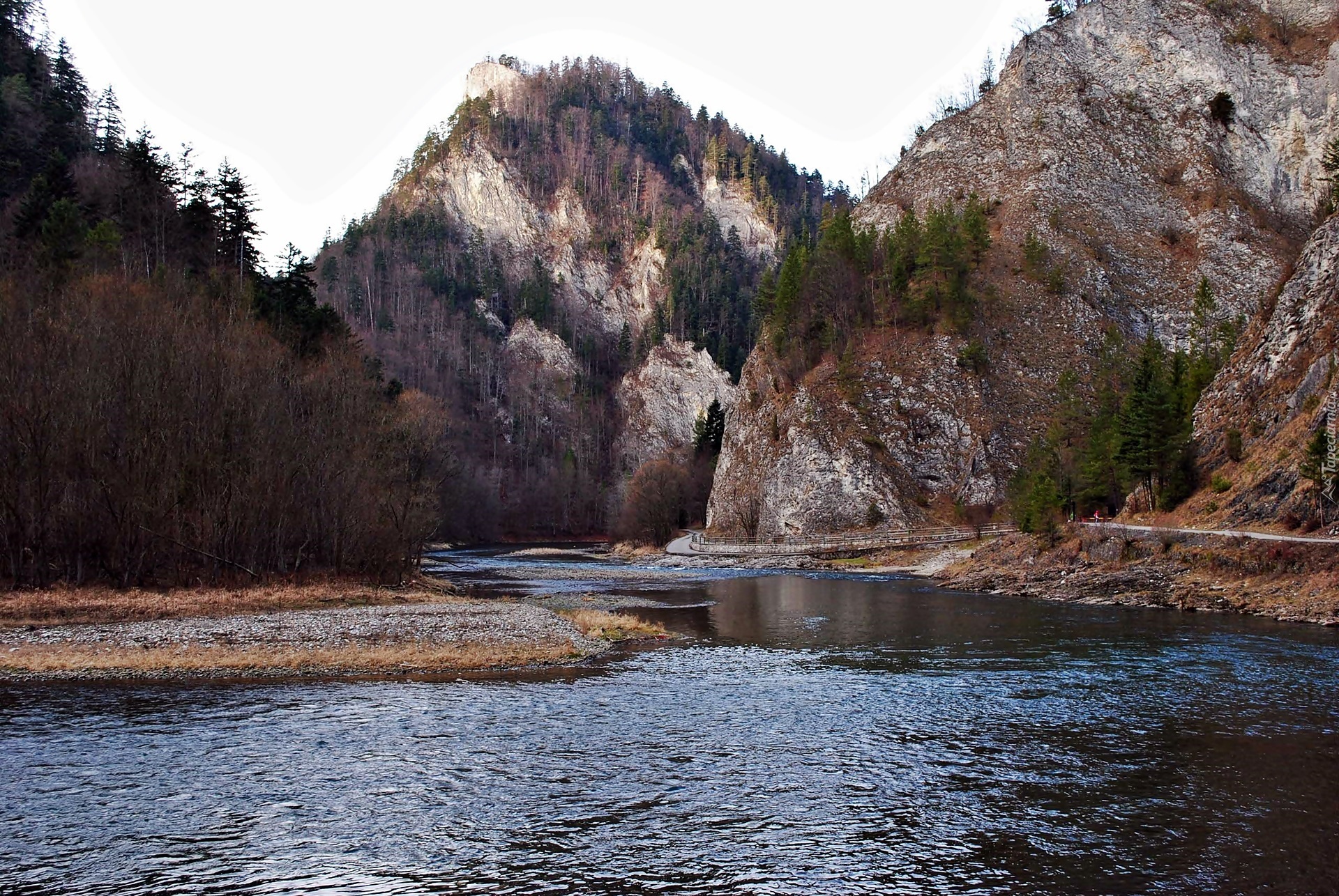 Góry, Pieniny, Las, Przełom, Dunajca