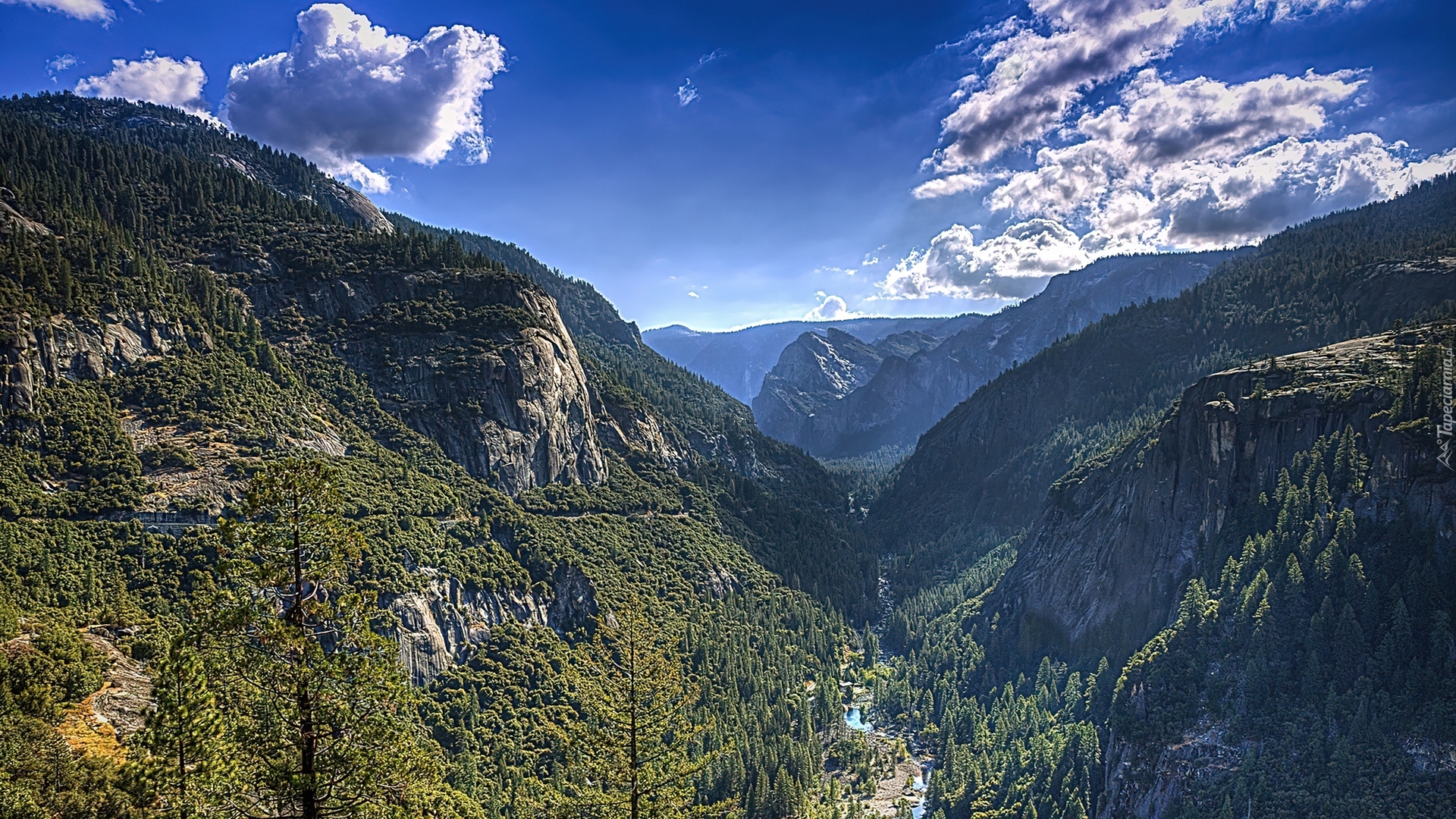 Stany Zjednoczone, Stan Kalifornia, Park Narodowy Yosemite, Rzeka, Góry, Las
