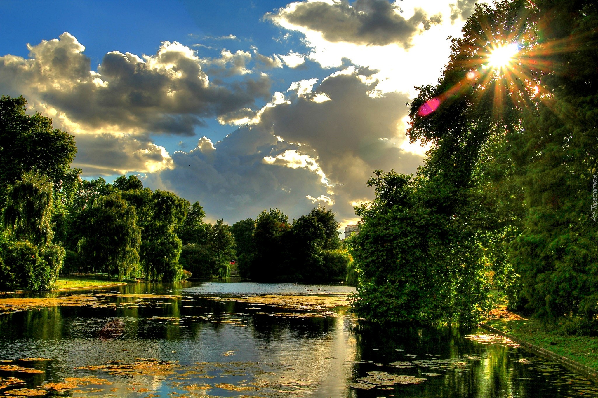 Park, Promienie, Słońca, Staw