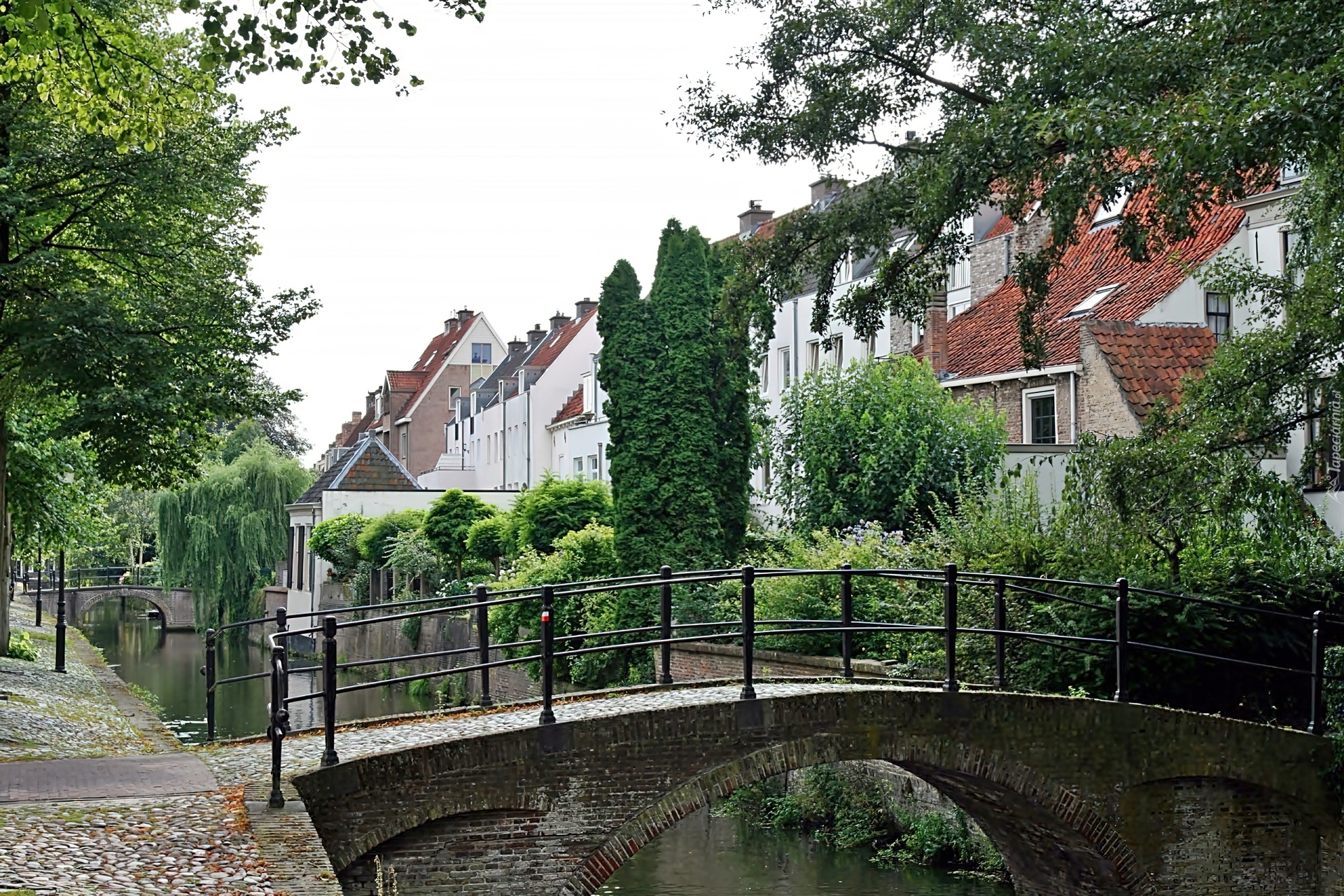 Domy, Roślinność, Rzeka, Eem, Mosty, Amersfoort