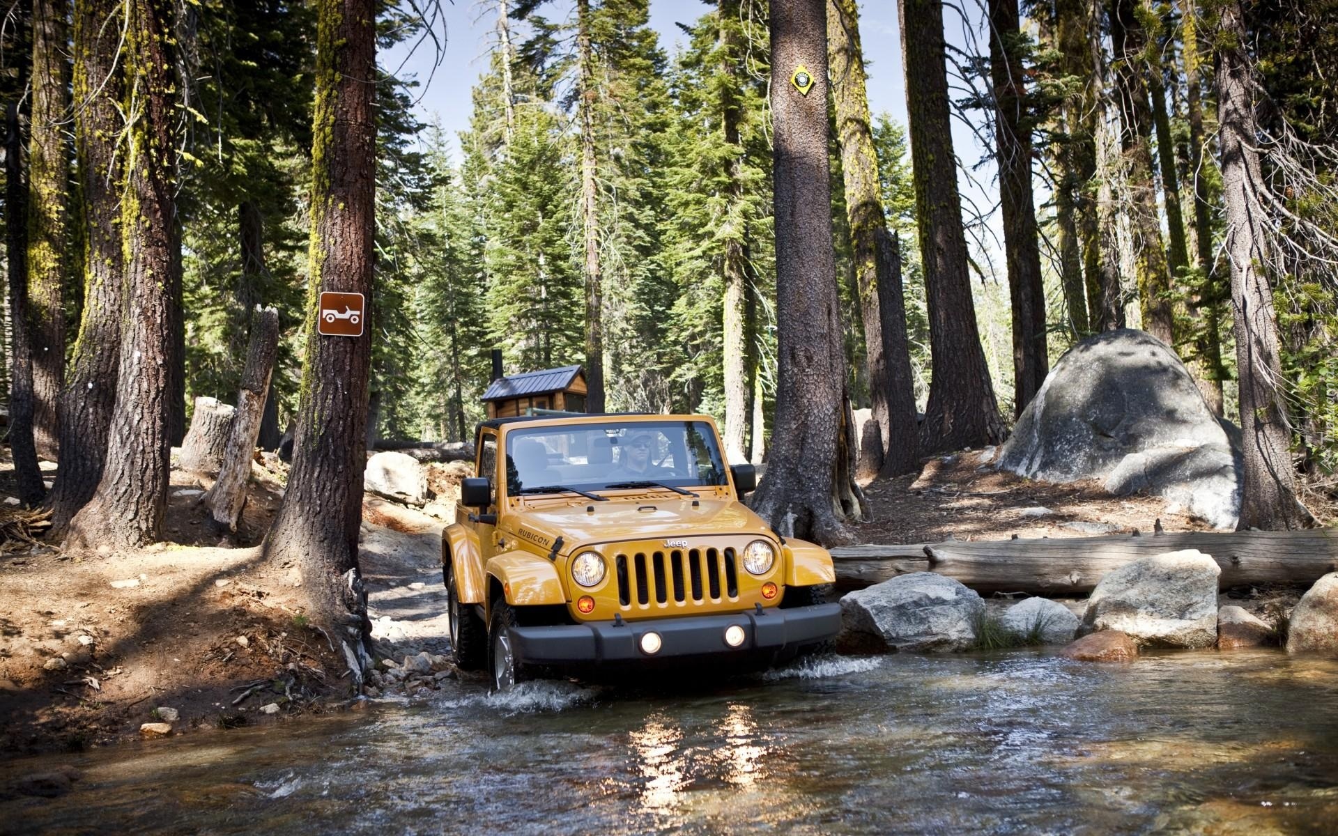 Jeep, Wrangler, Las, Bagna, Kamienie