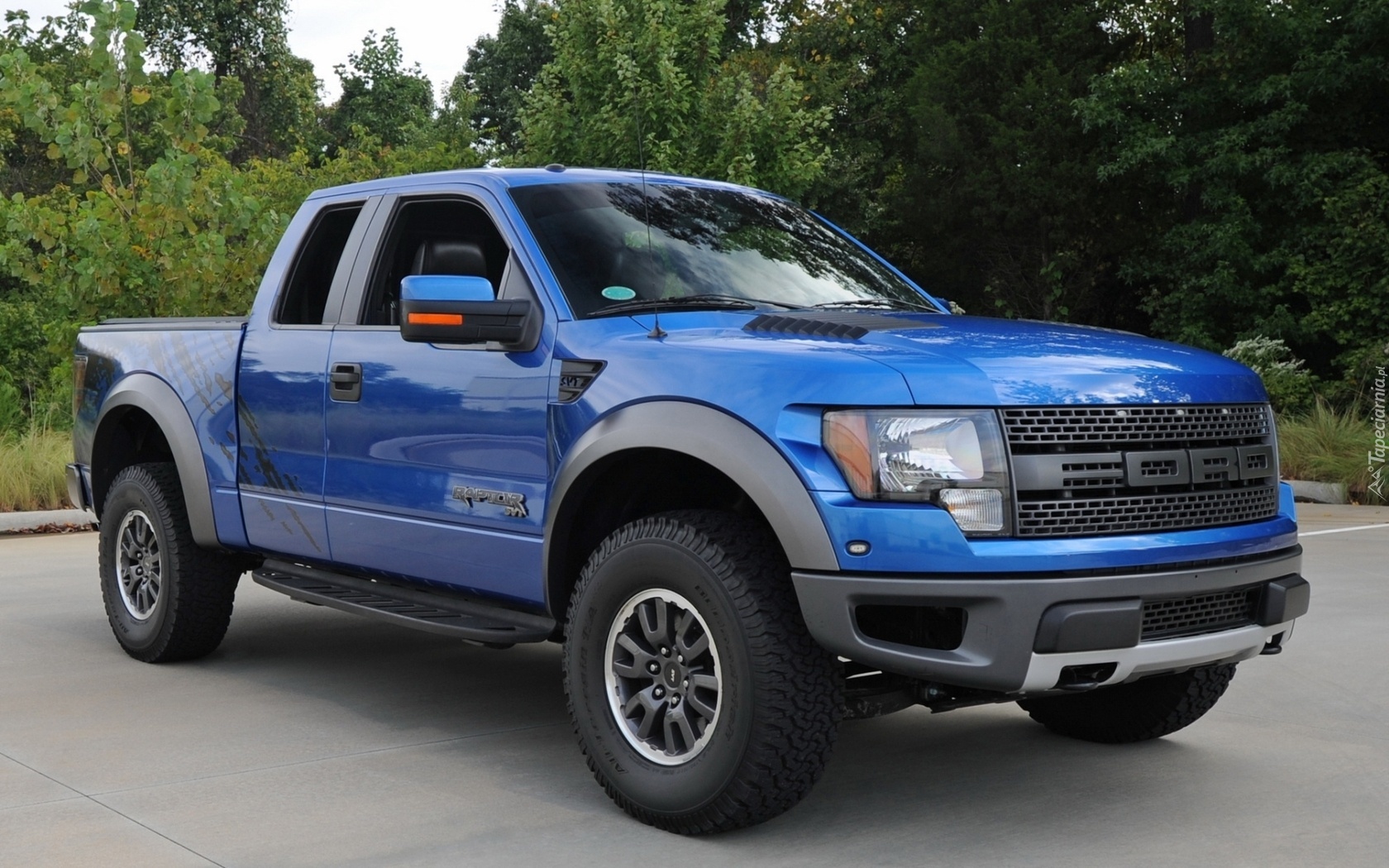 Ford, Raptor, Drzewa