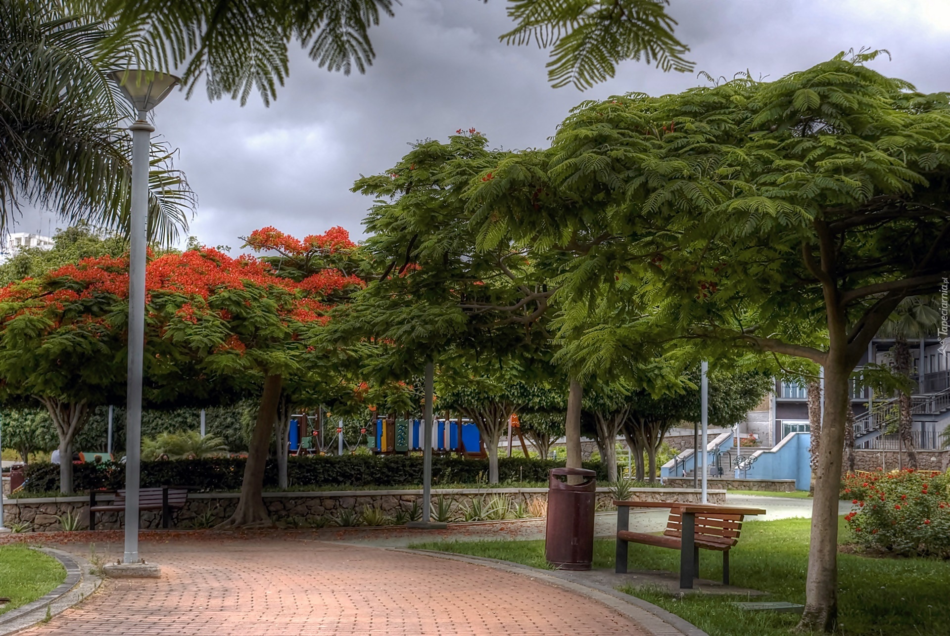 Park, Bench, Nature, Spain, Aleja, Wyspy, Kanaryjskie