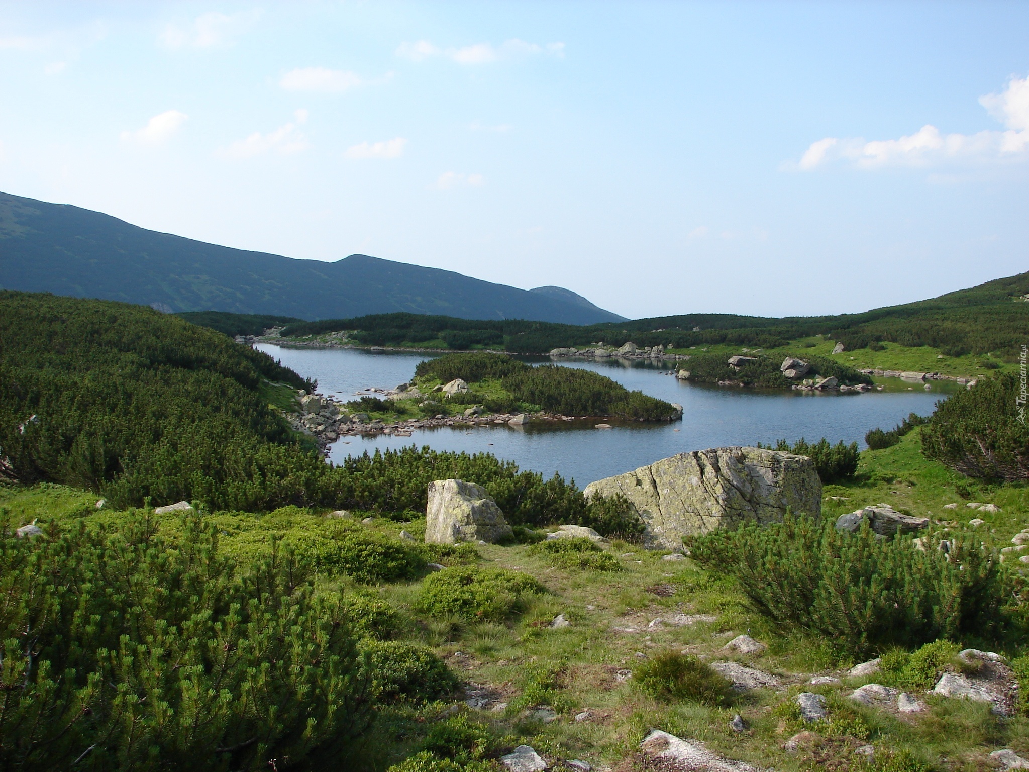 Tatry, Dolina, Gąsienicowych, Stawów