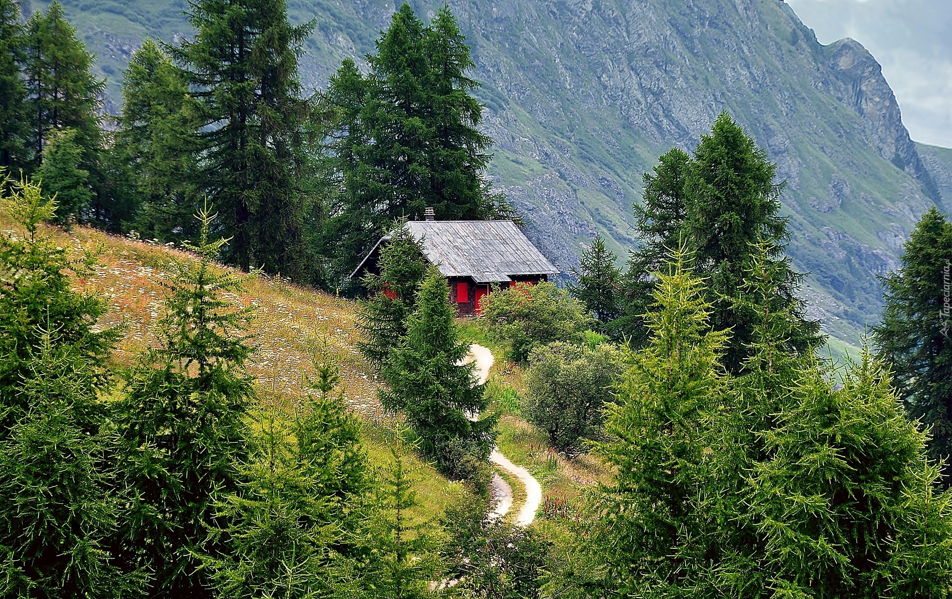 Góry, Alpy, Las, Łąka, Droga, Dom, Tyrol