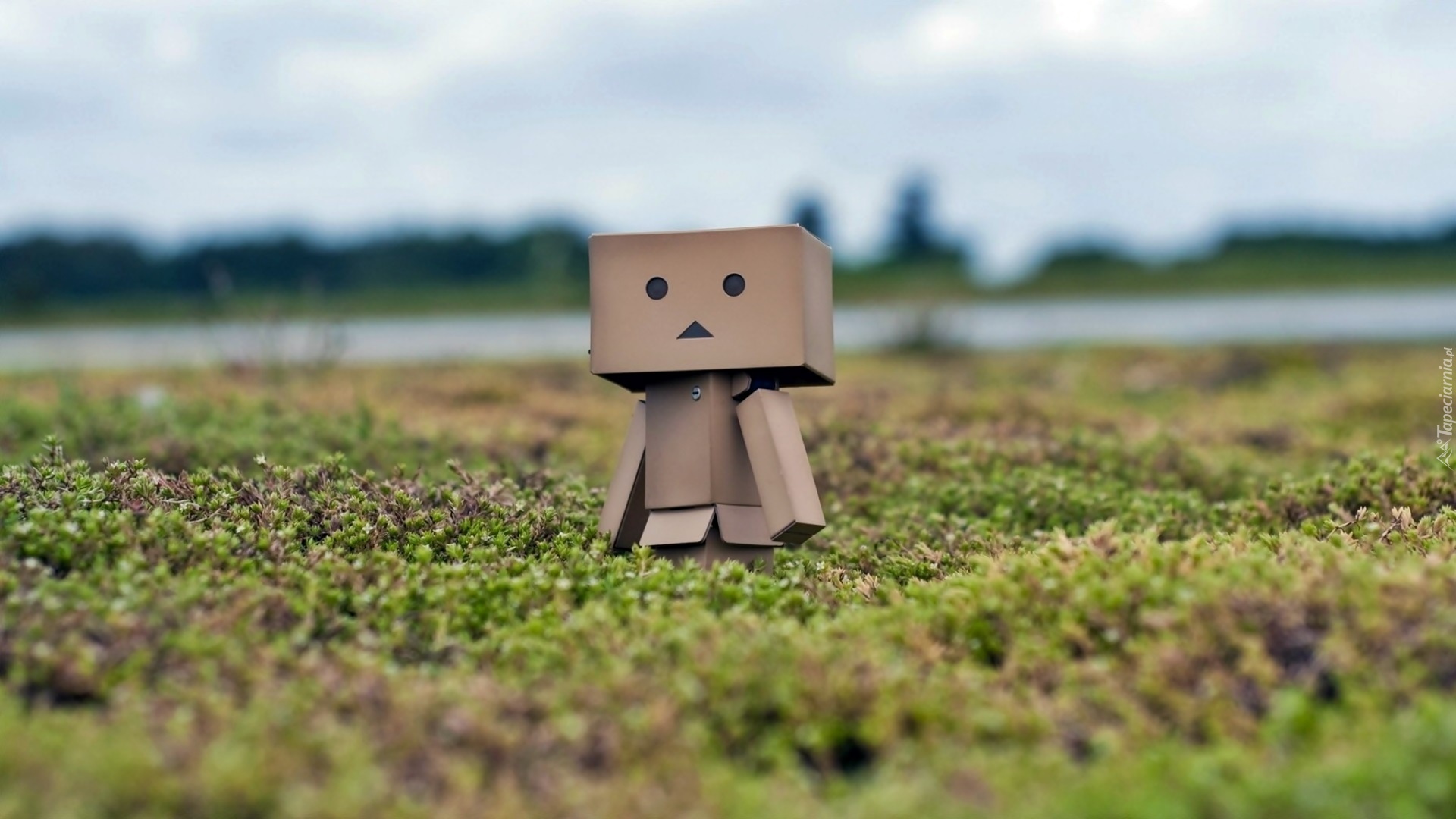 Łąka, Danbo, Rozmycie