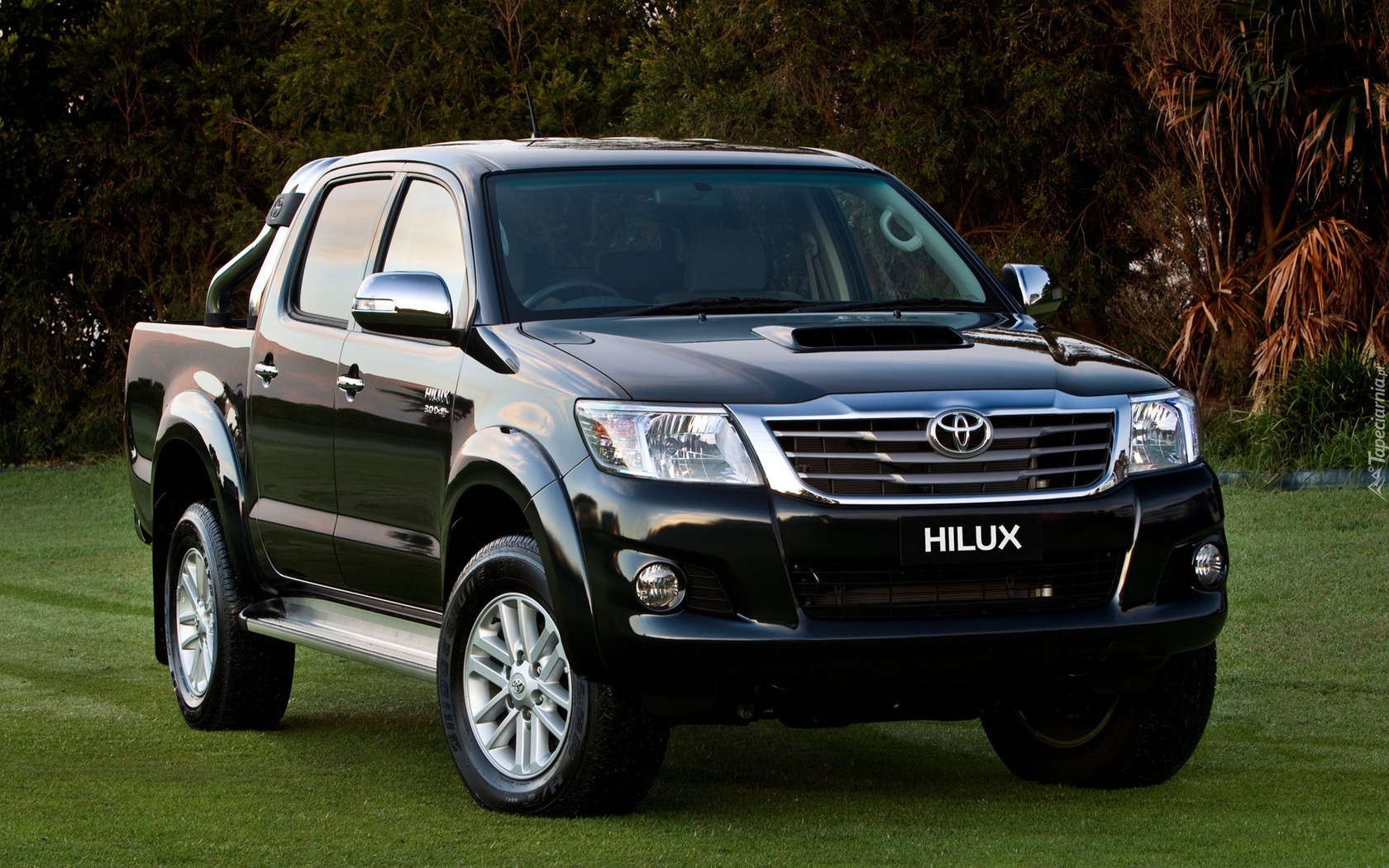 Toyota, Hilux