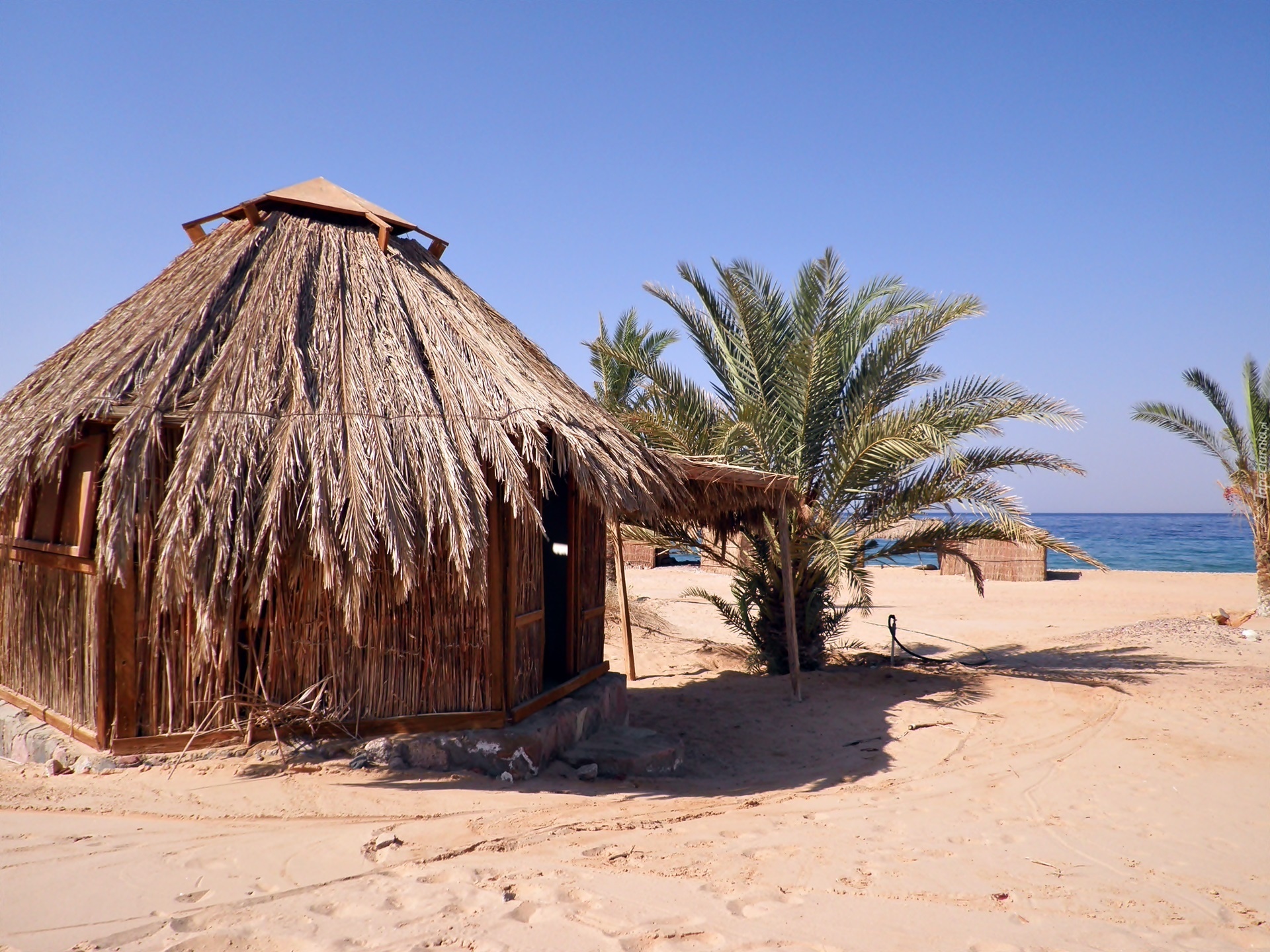 Бич хат. The Beach Hut. Пляж с пальмами. Море вилла пальмы. Huts on the Beach.