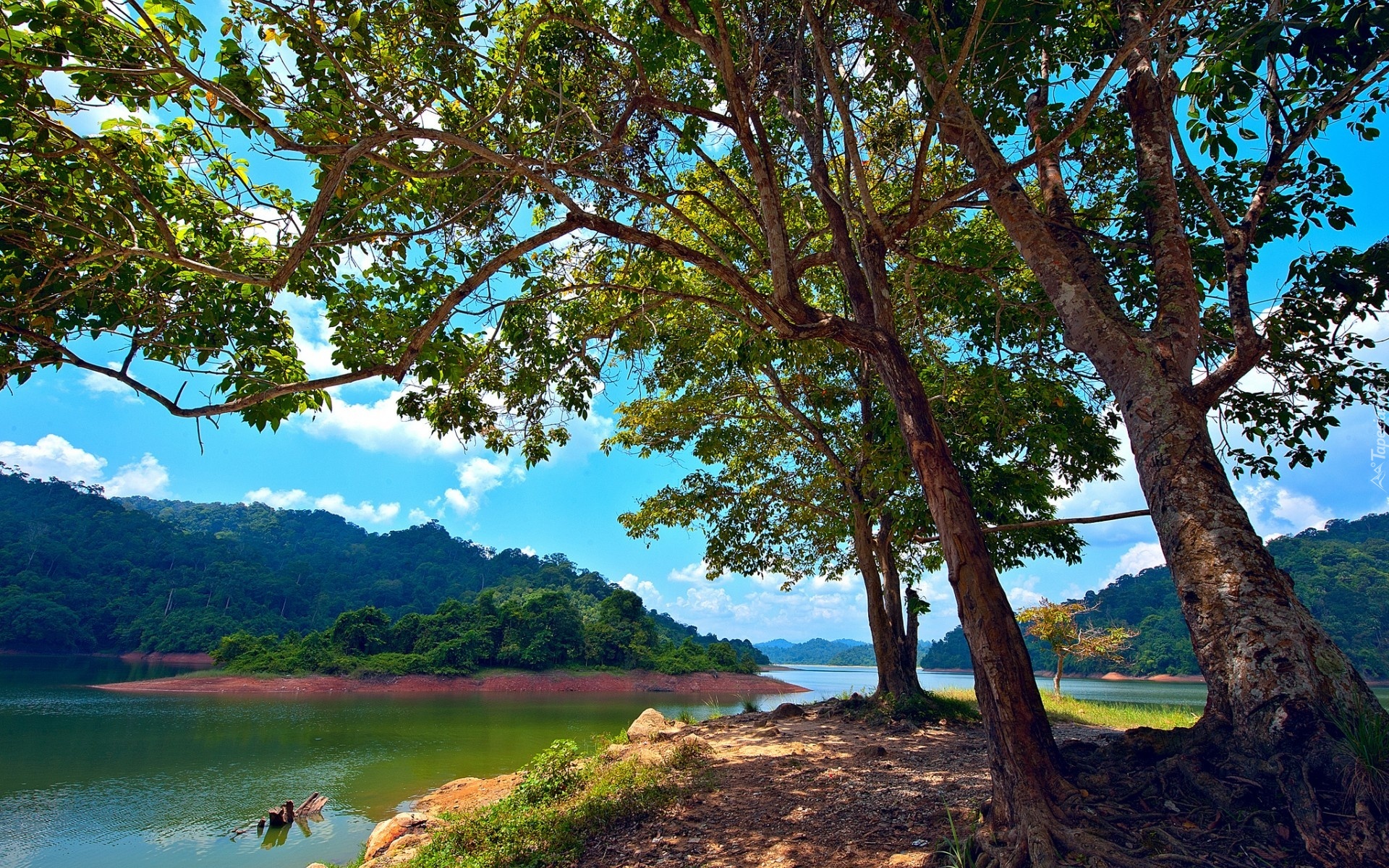 природа озеро Малайзия загрузить