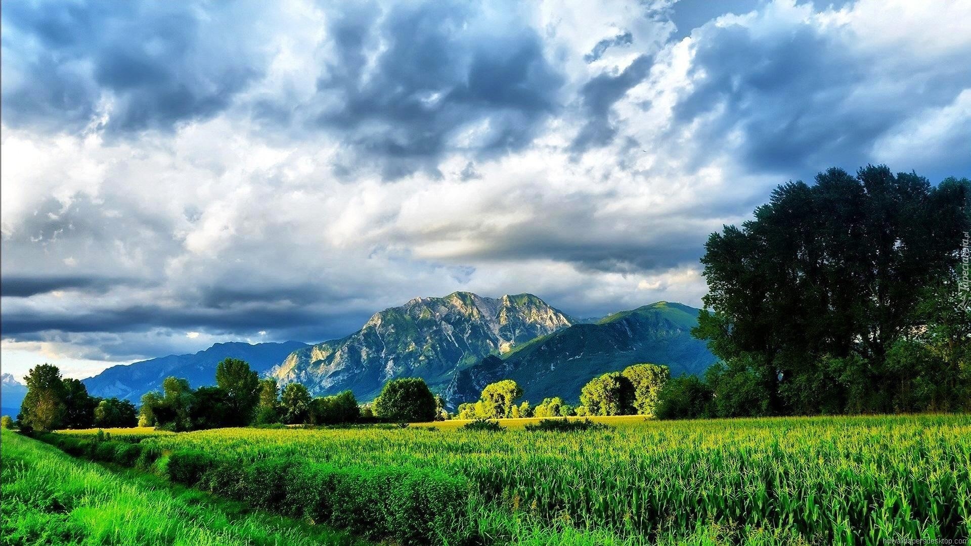 Góry, Las, Łąka
