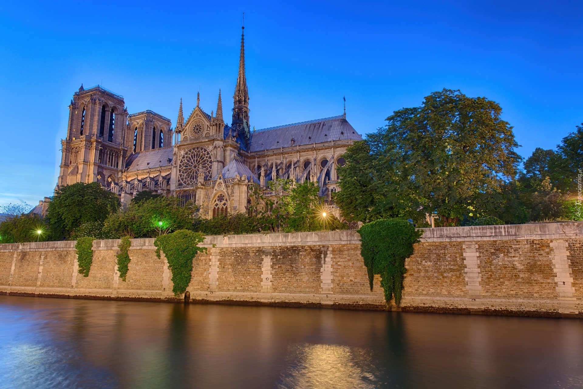 Katedra, Notre, Dame, Paryż