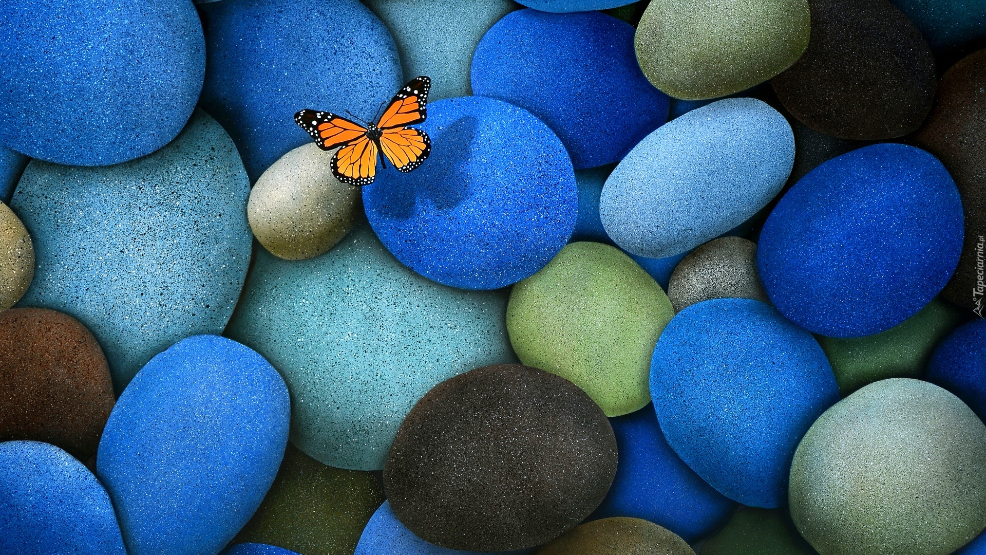 Niebieskie ,Szare, Brązowe, Kamienie, Pomarańczowy, Motyl, Monarch
