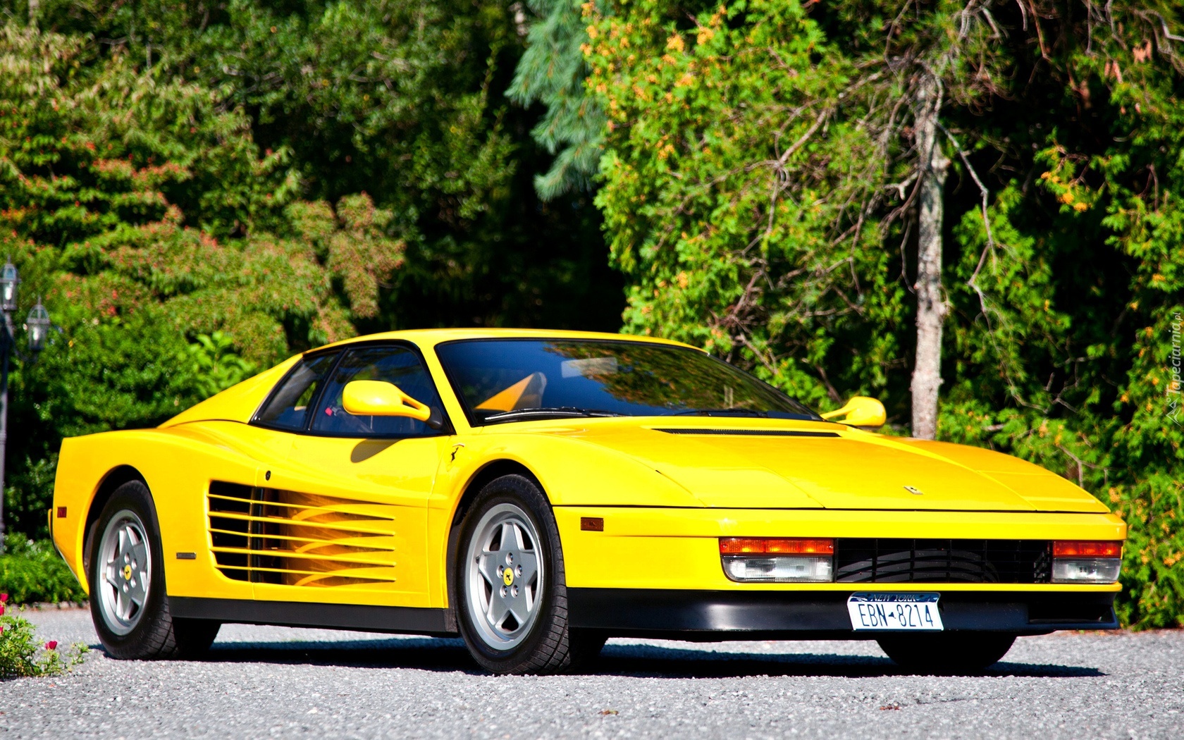 Ferrari, Testarossa