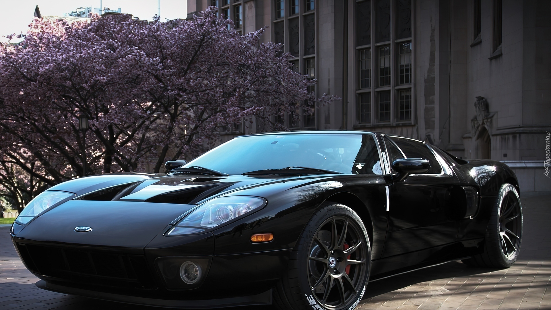 Ford, GT