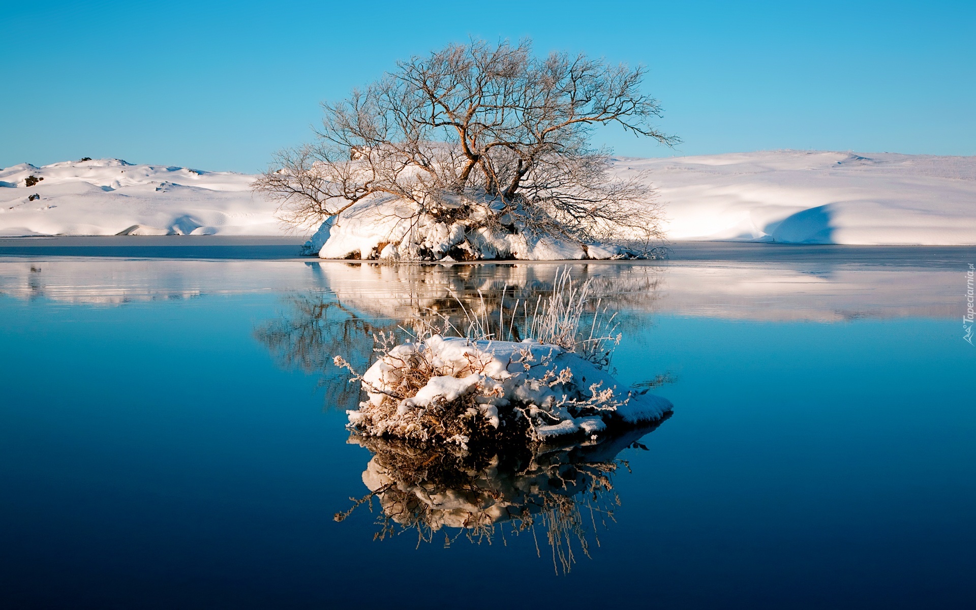 Jezioro, Śnieg, Drzewo, Odbicie