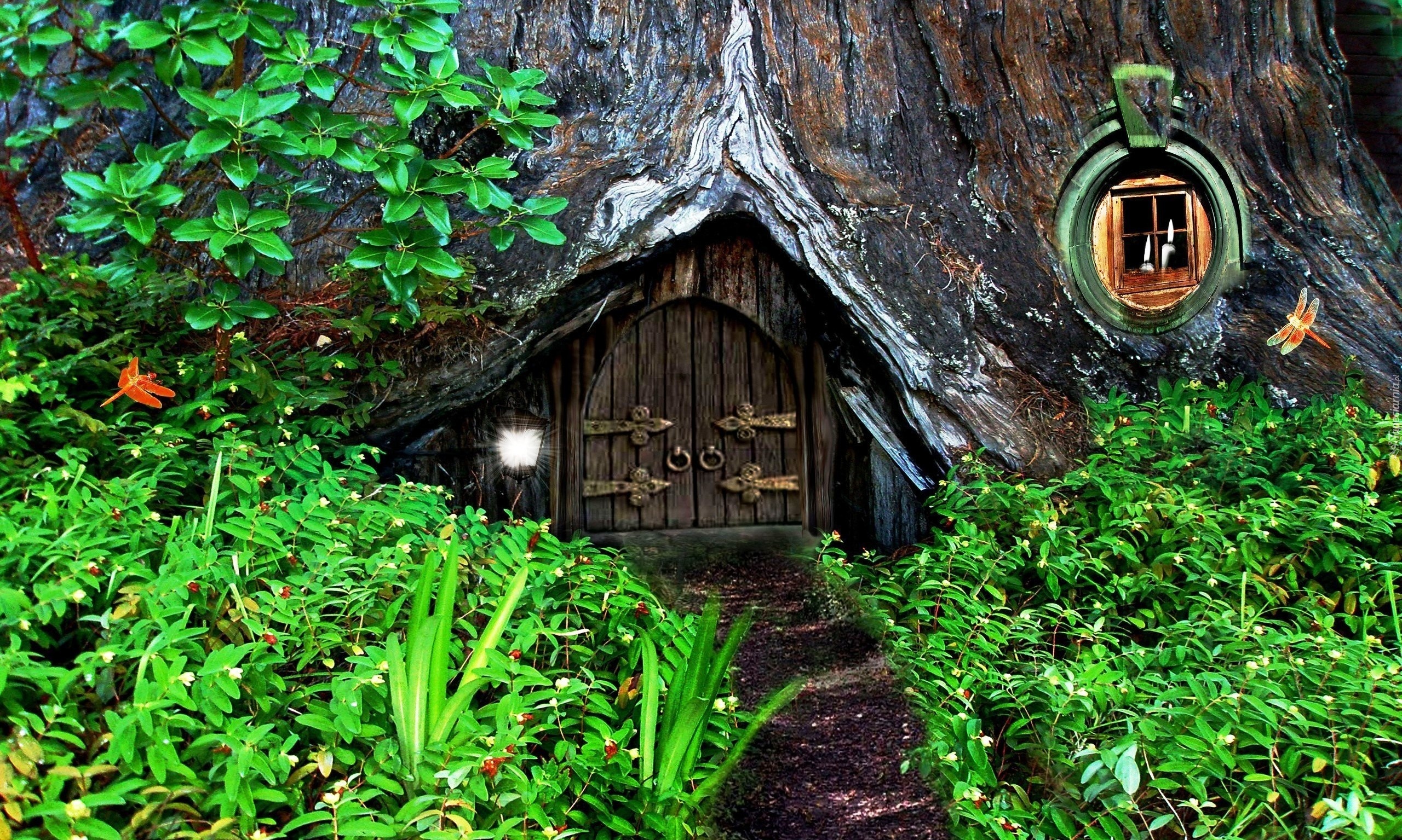 Domek, Hobbit, Ogród