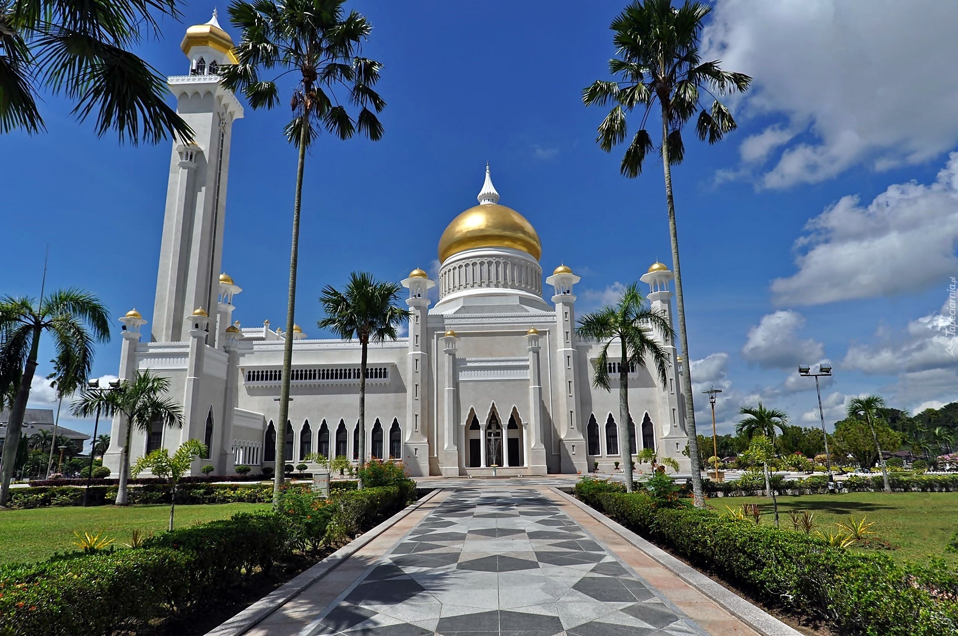 Brunei, Bandar, Seri, Begawan, Meczet, Aleja, Palmy