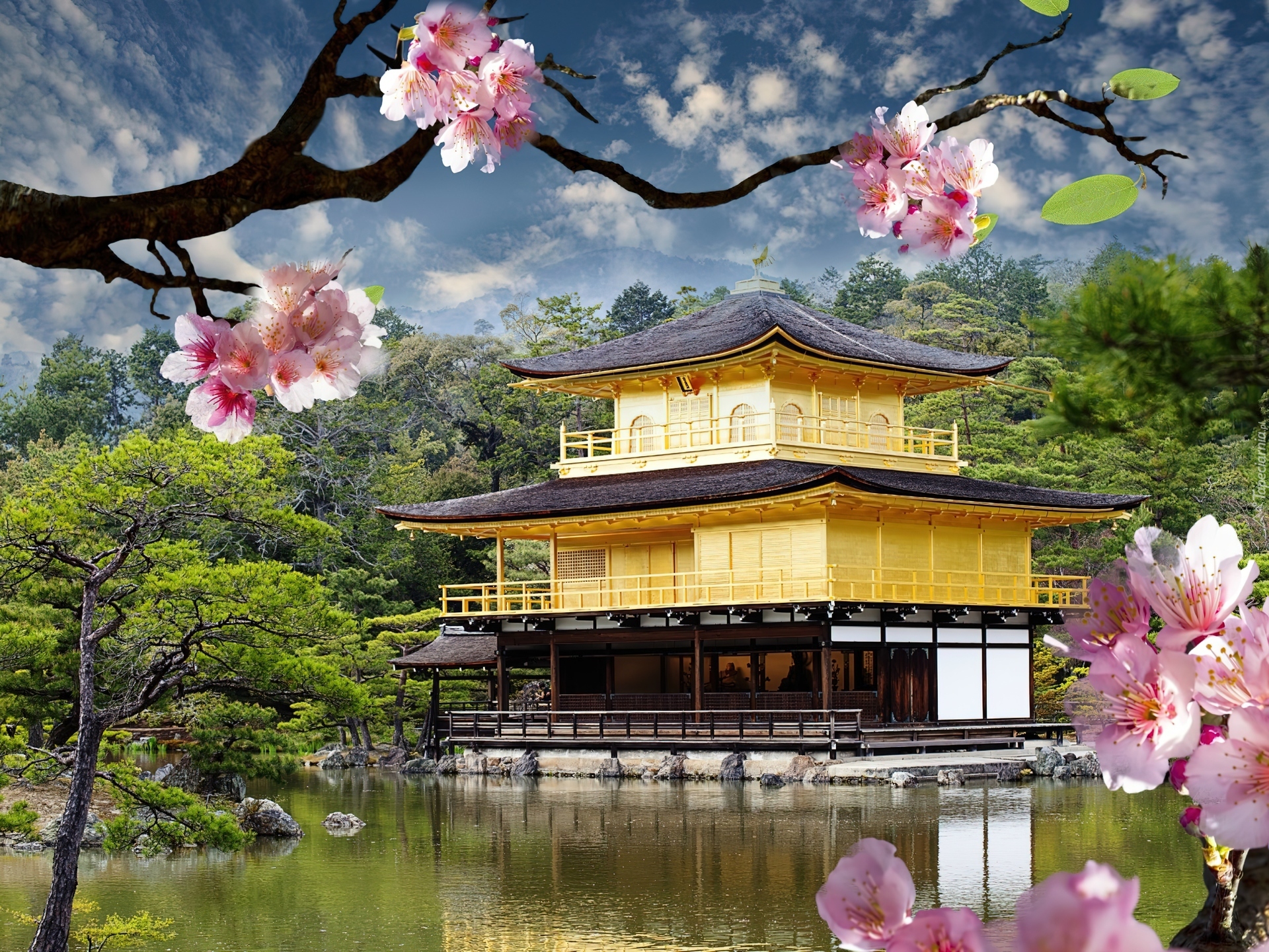 Świątynia Kinkakuji, Złoty Pawilon, Staw Kyko chi, Drzewa, Kioto, Japonia, Okwiecone, Gałązki