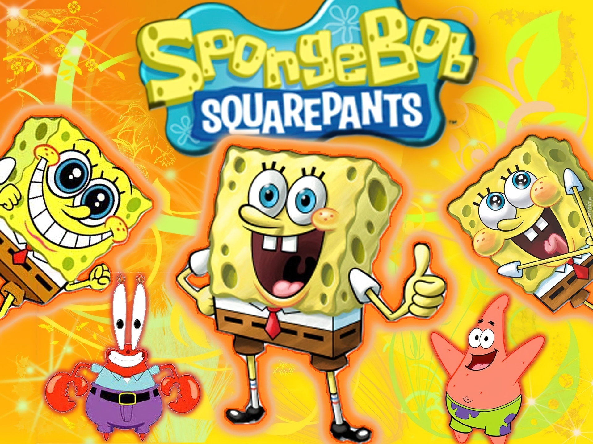 Spongebob, Kanciastoporty