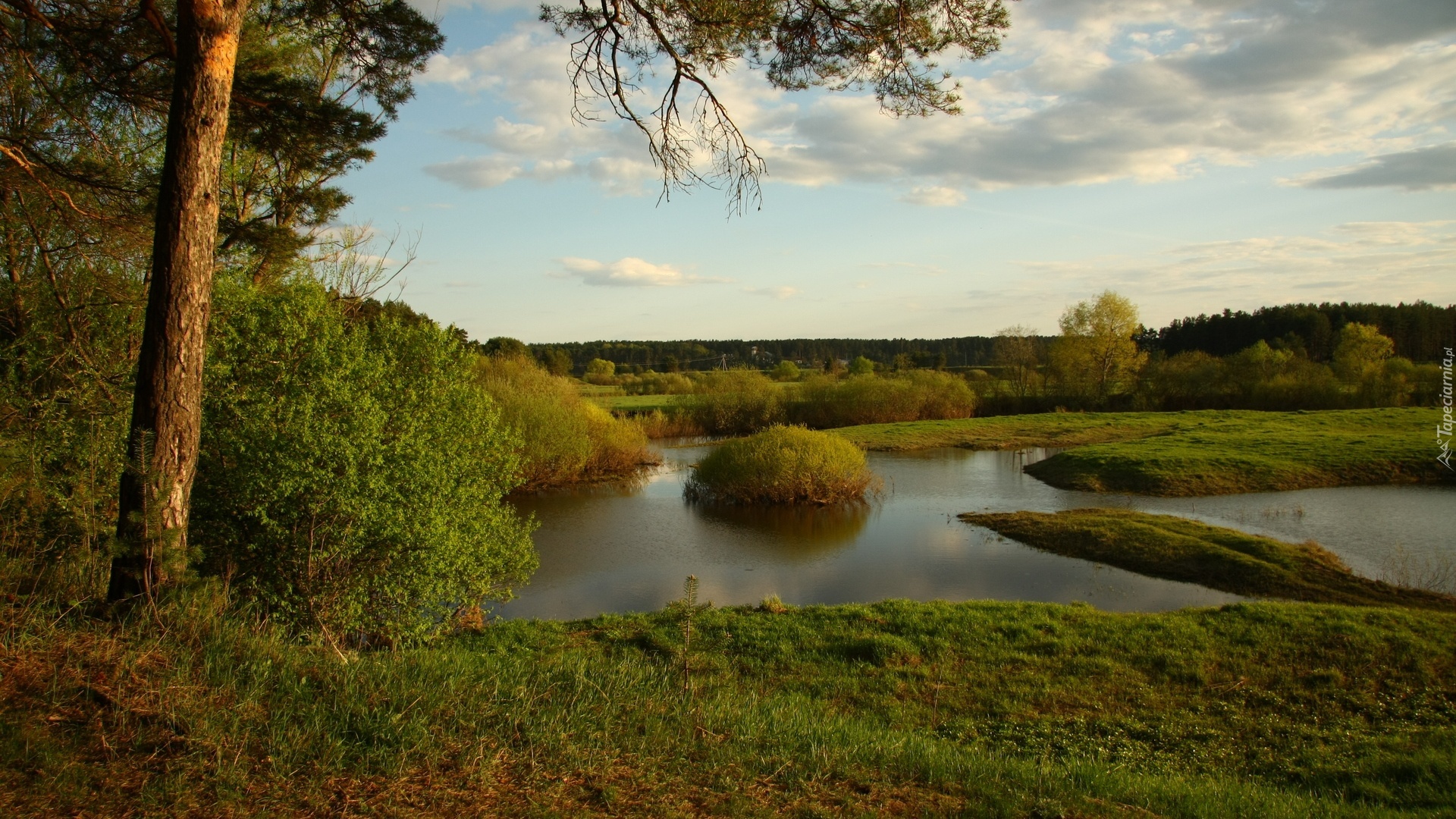 Rzeka, Drzewa, Niebo